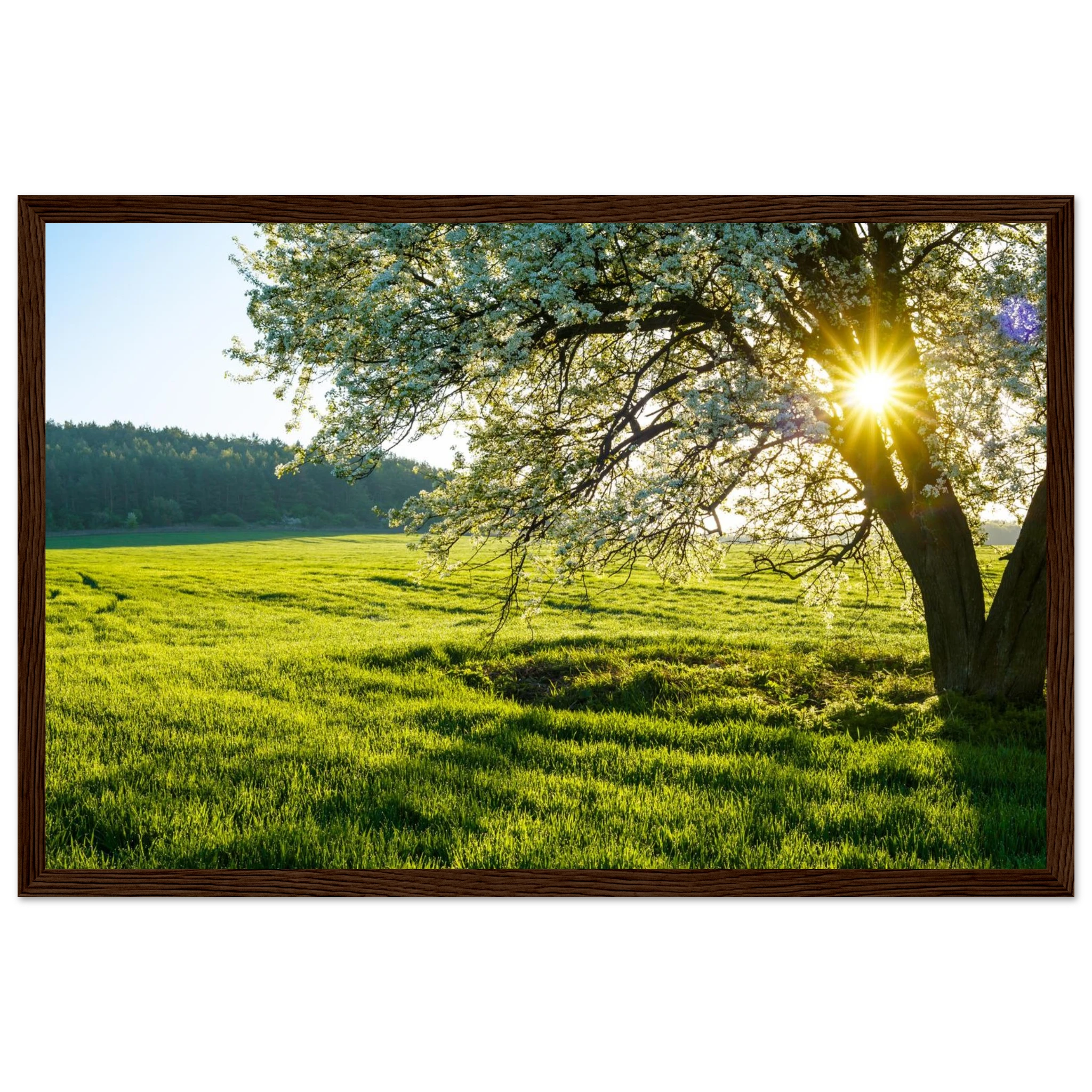 0aa81e99-9f3d-46d3-940e-ff7e1ecb39b0