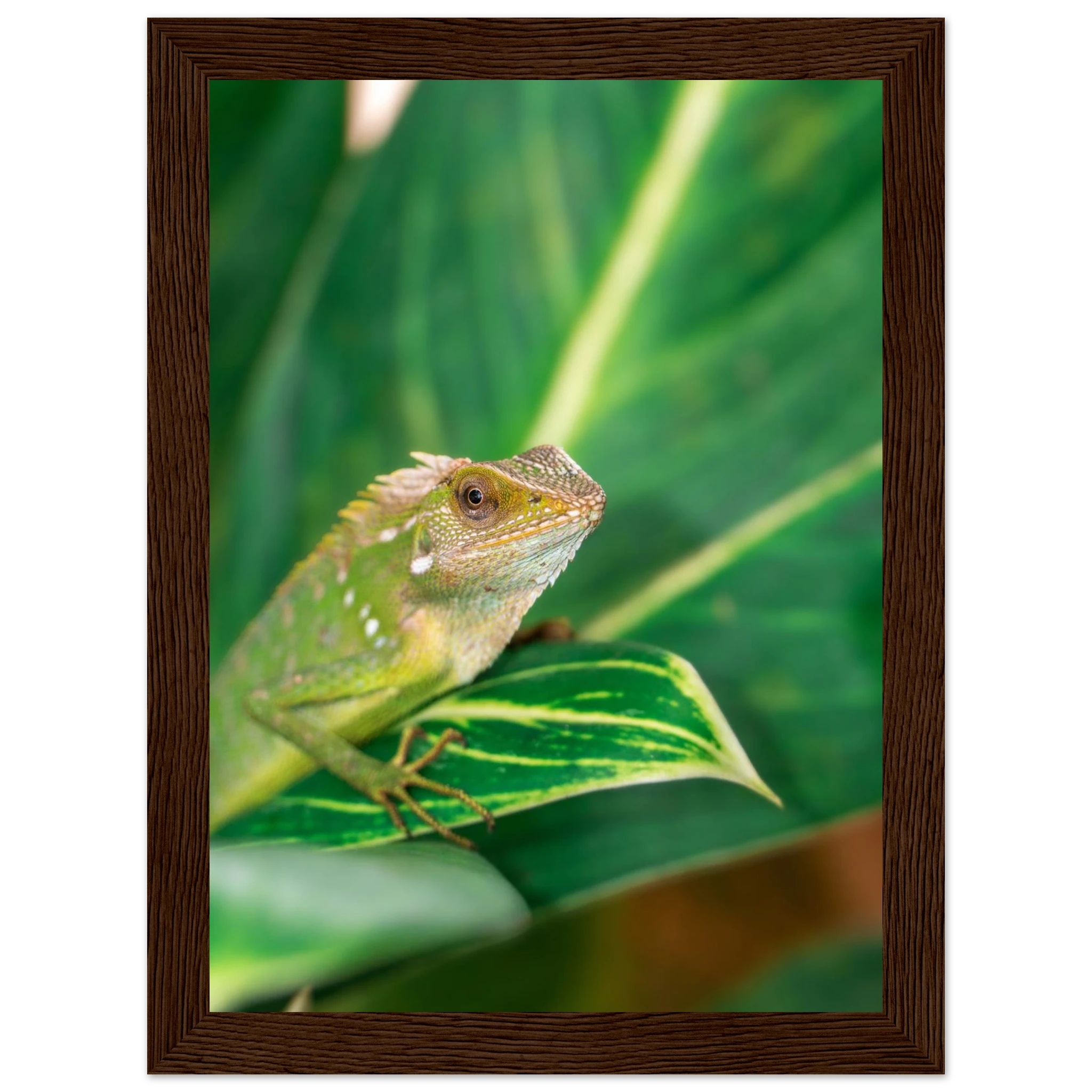 0abeebb1-9186-454e-818b-72cd2a97f908