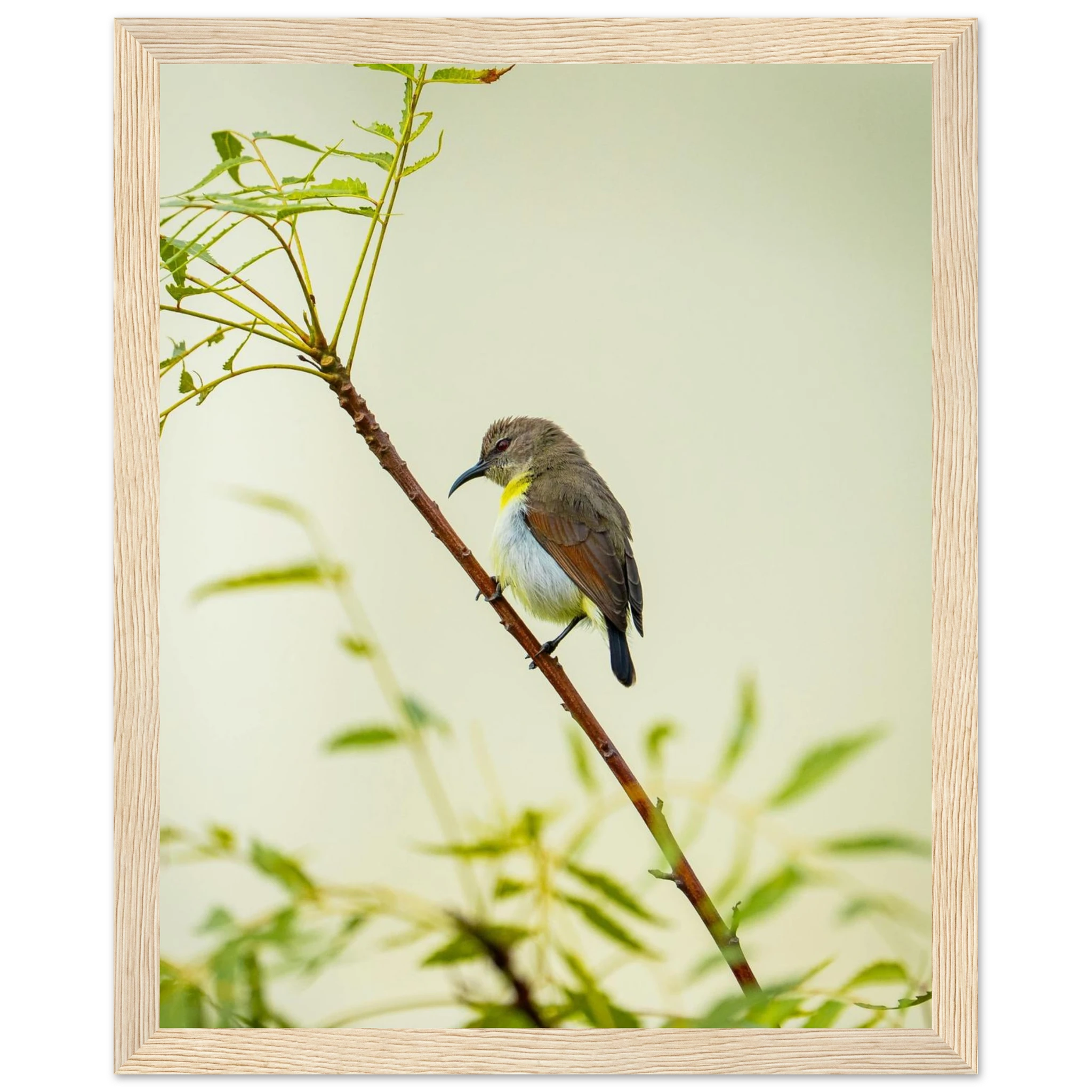 0ac80743-1271-4d57-83b9-cf3b9accad46