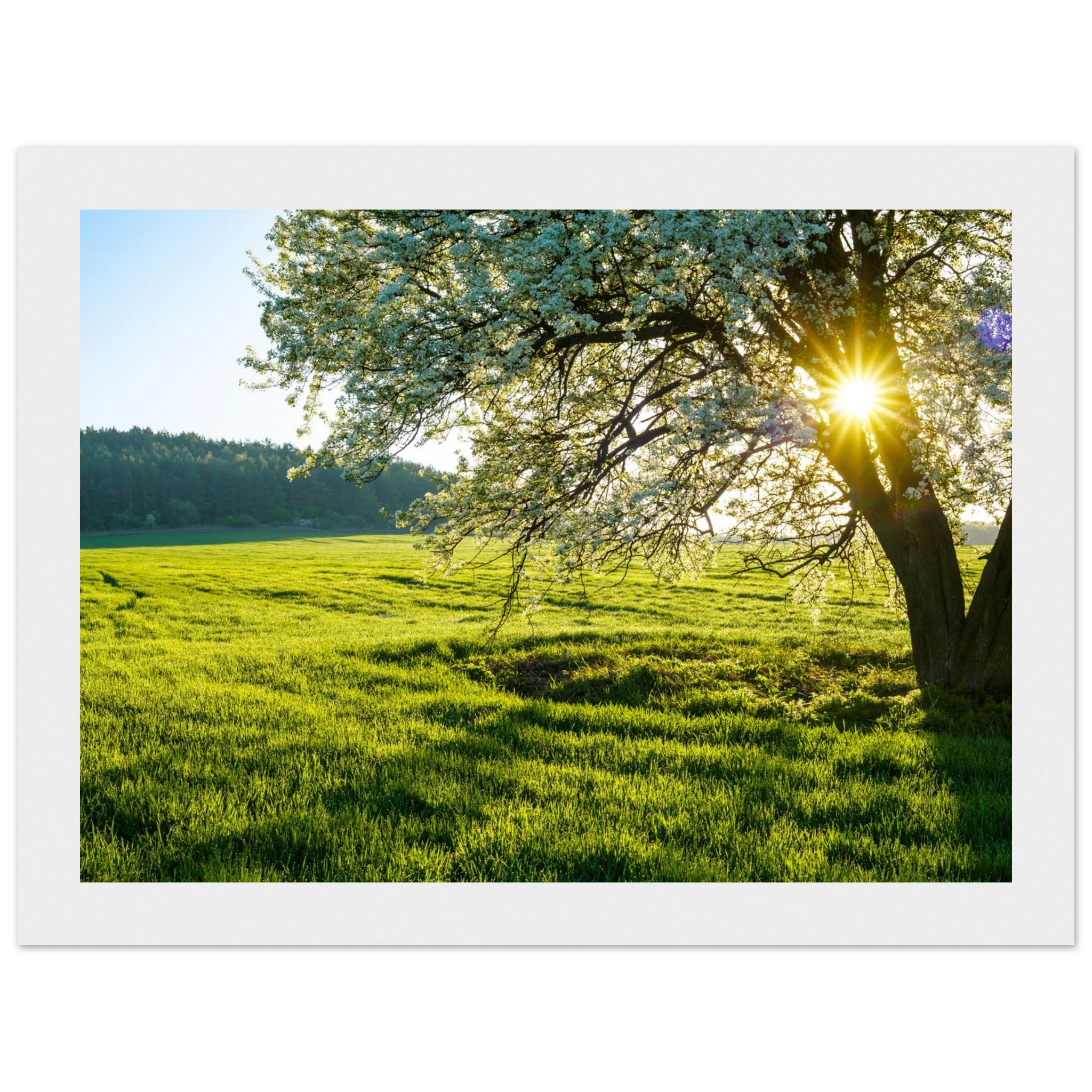 0ac8b5db-e954-452f-8362-013cc52478e6