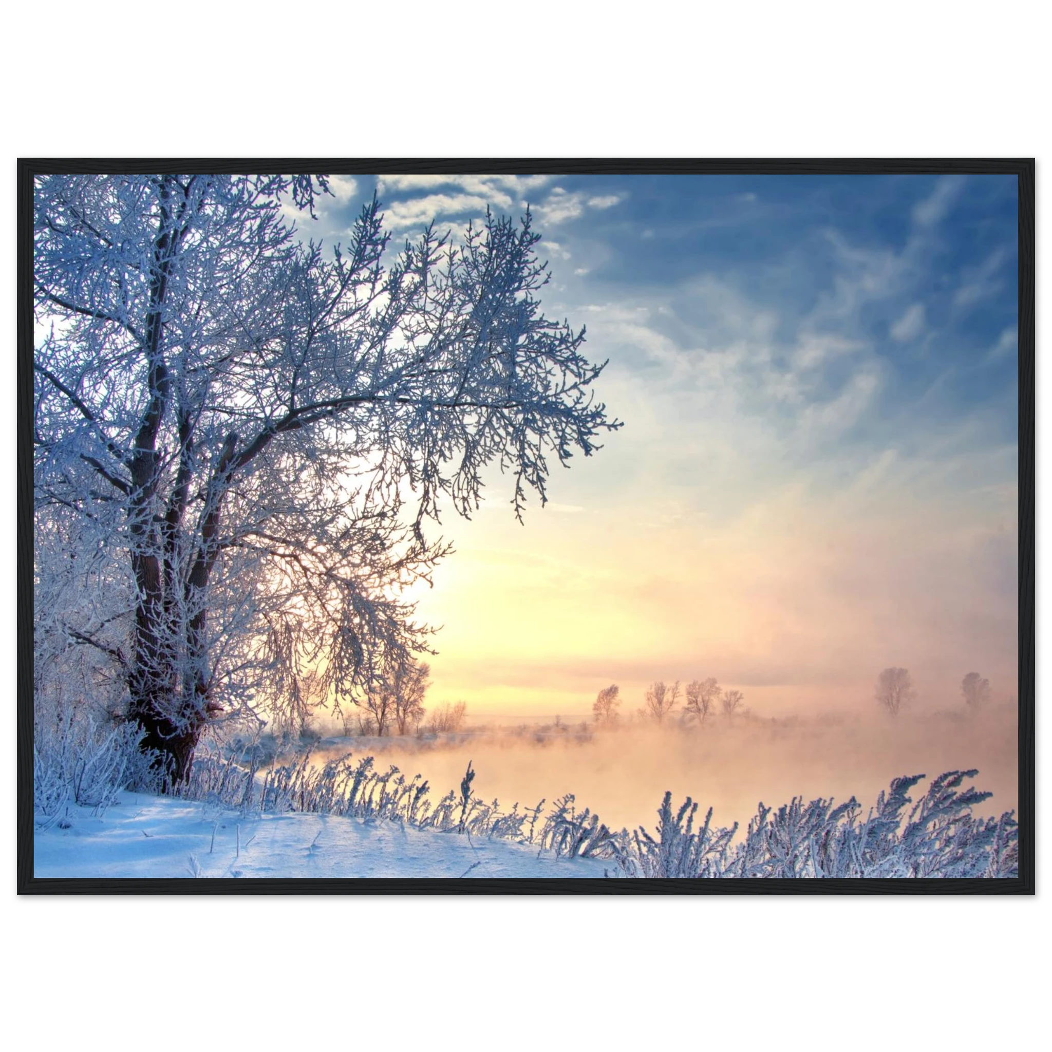 0ae2b42a-7f31-4a37-ae7b-443af1540135