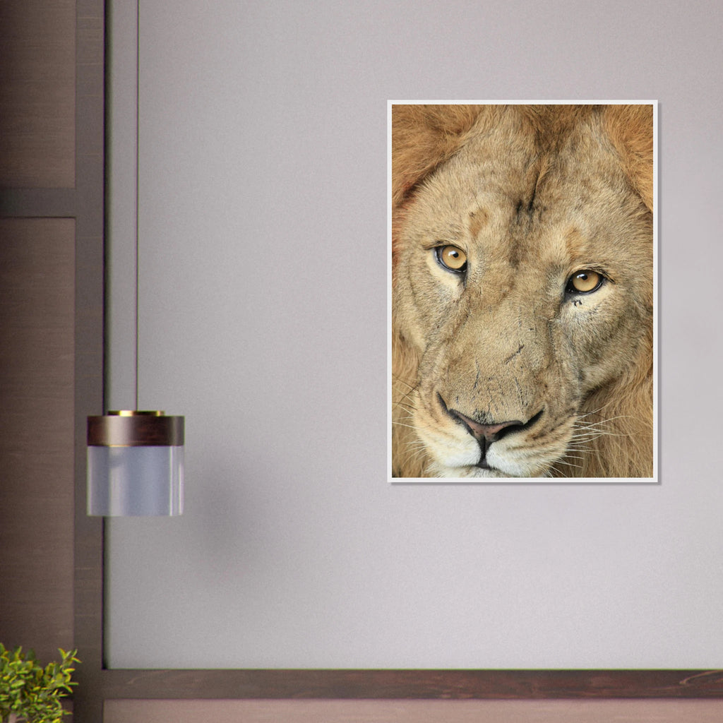 0b0ec985-cbf7-40fb-abd5-b804a3caaa33