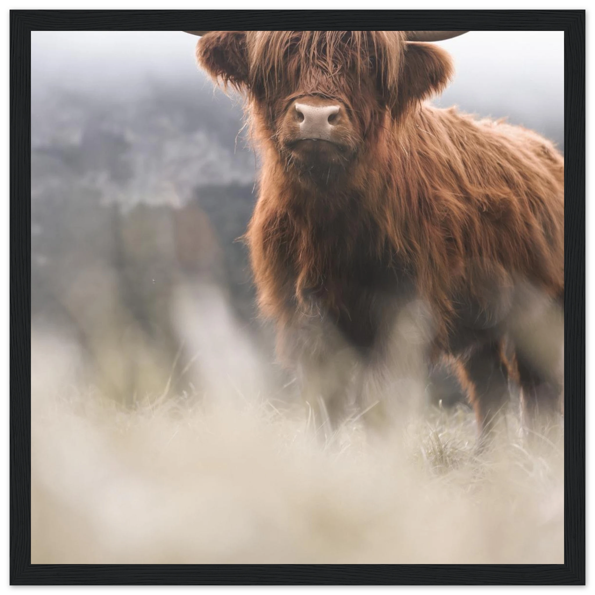 0b2b383b-a717-404b-98d7-f492f9bcf183