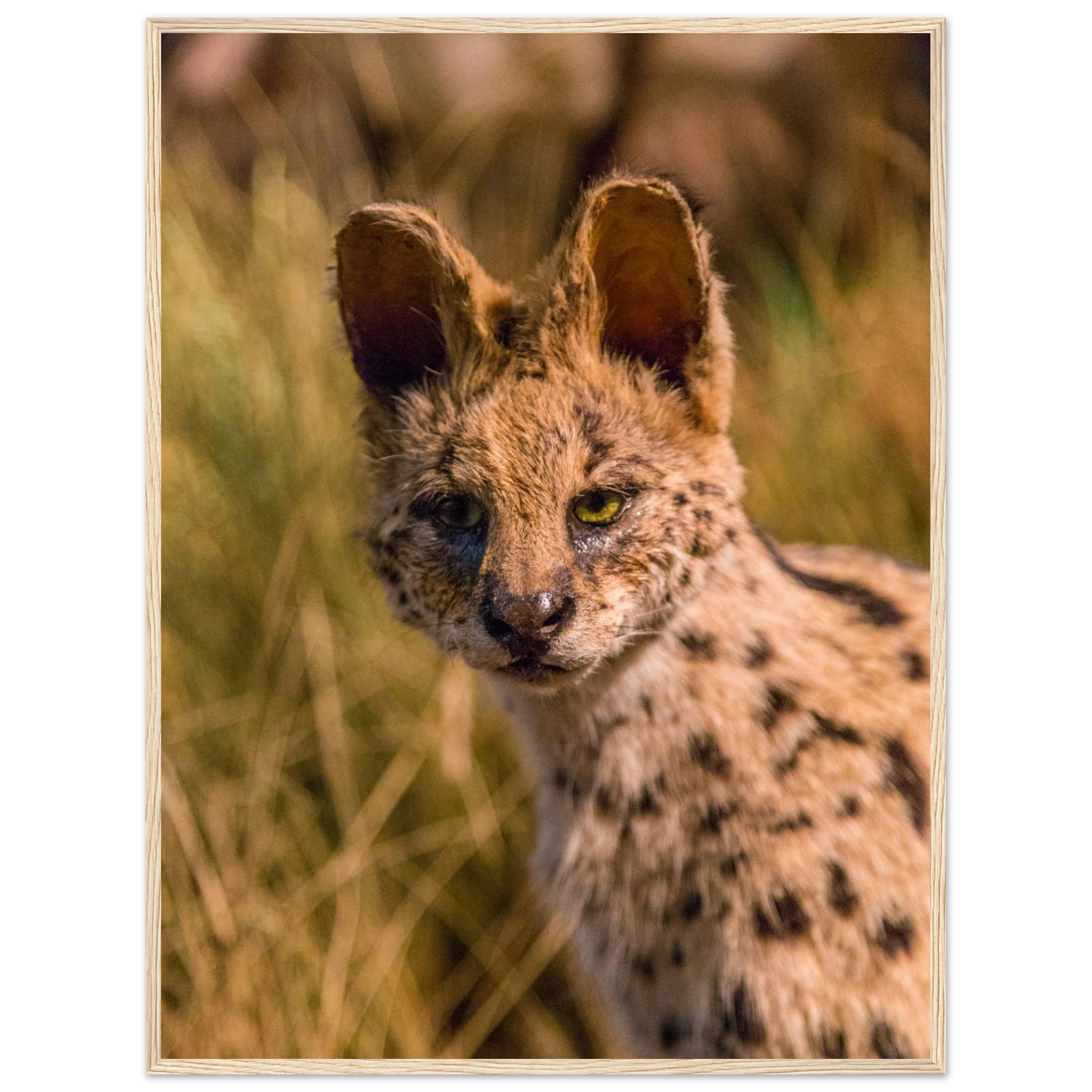 0b65881c-7136-4541-97e9-f1f25a3eec61