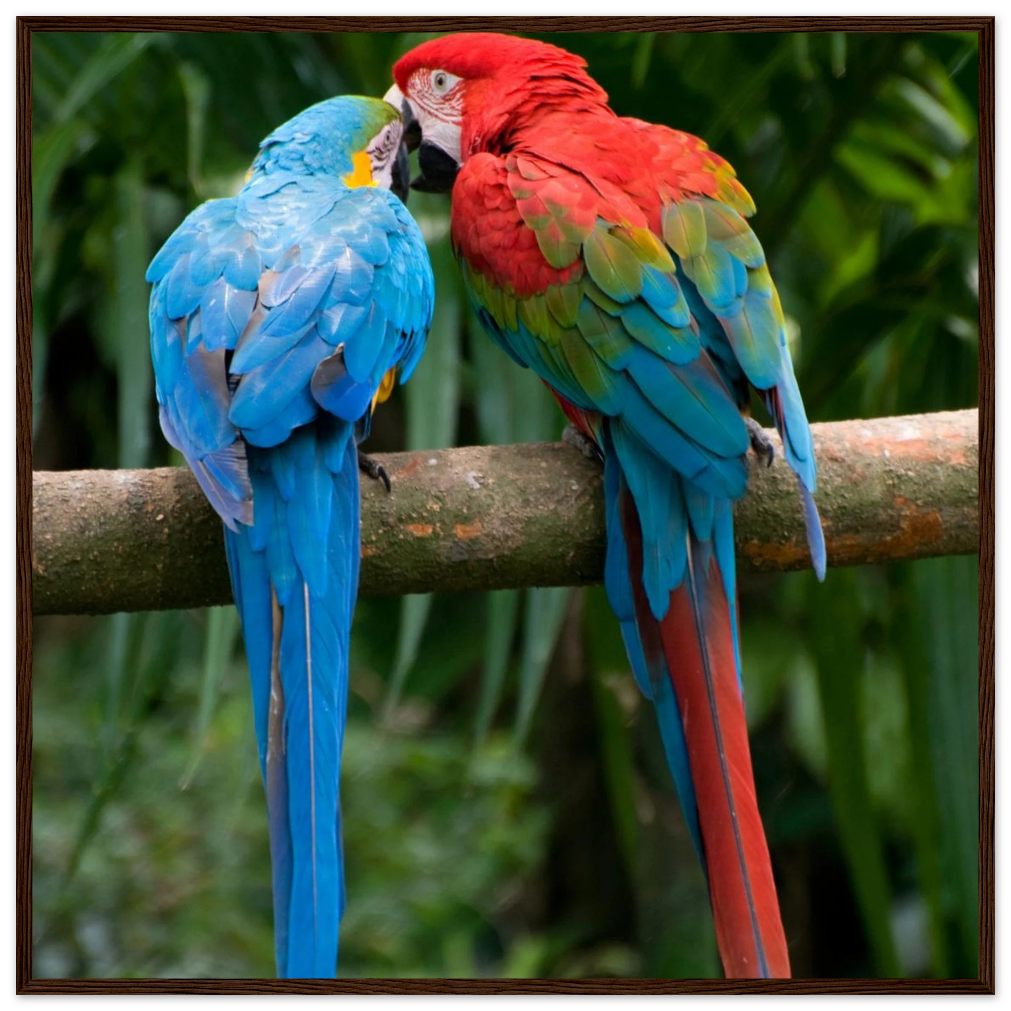 0b6dcff5-d75d-4d53-a507-d3eab6902e5d