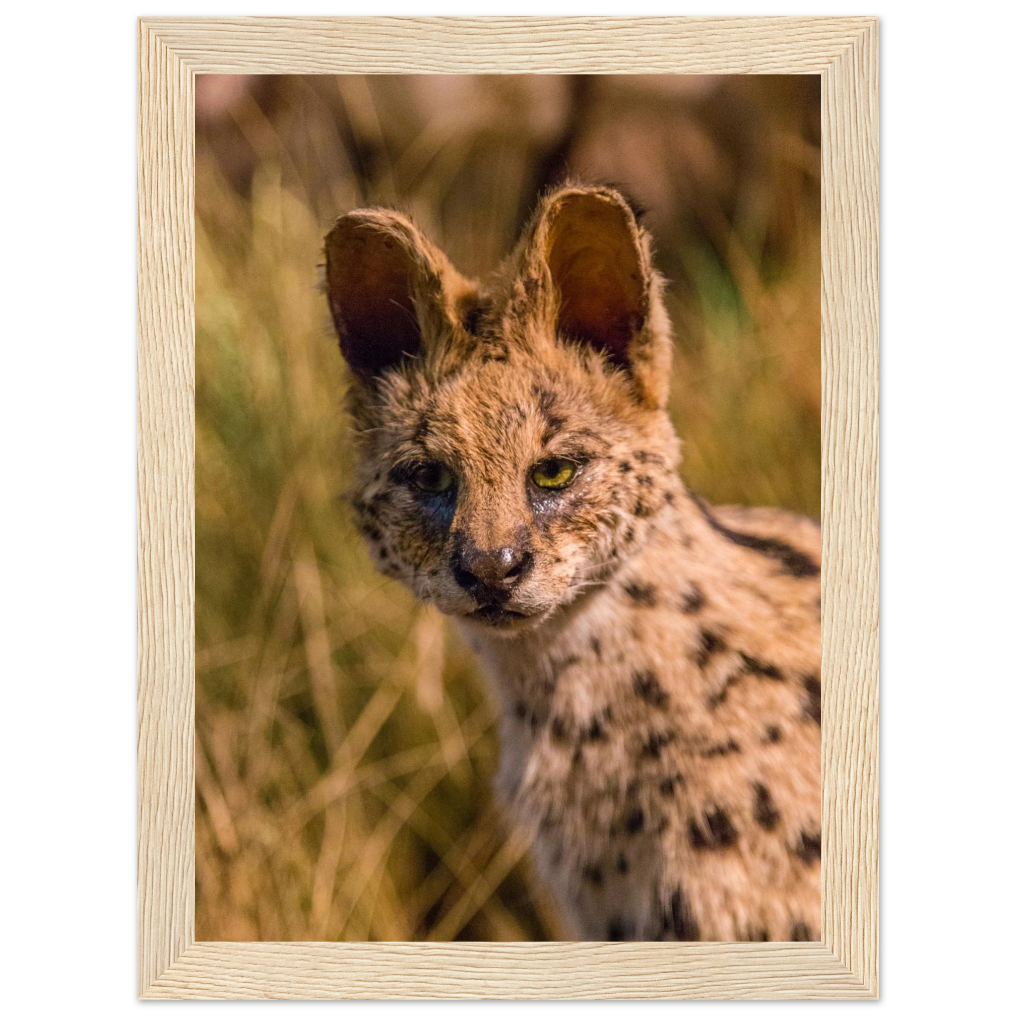 0b987e38-4bea-4acc-a7df-d88a17b60cb7