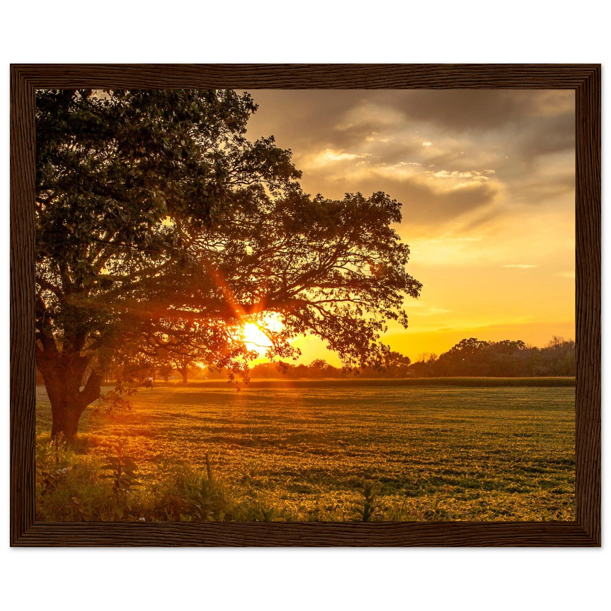 0b988e2b-9a61-4b1f-8ed3-27cc7f7f8d19