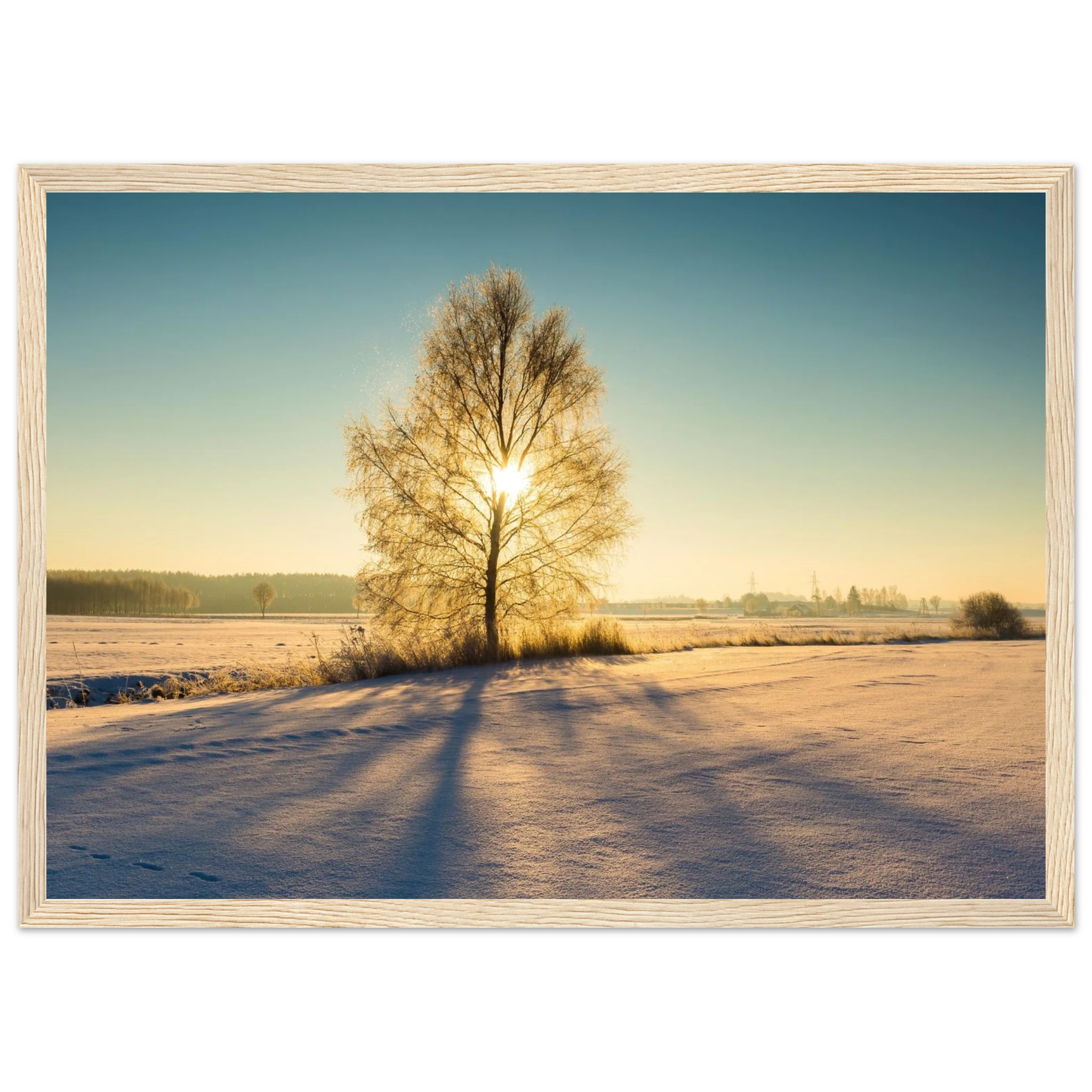 0bc5e295-44fa-4a65-8394-6163a60029c0