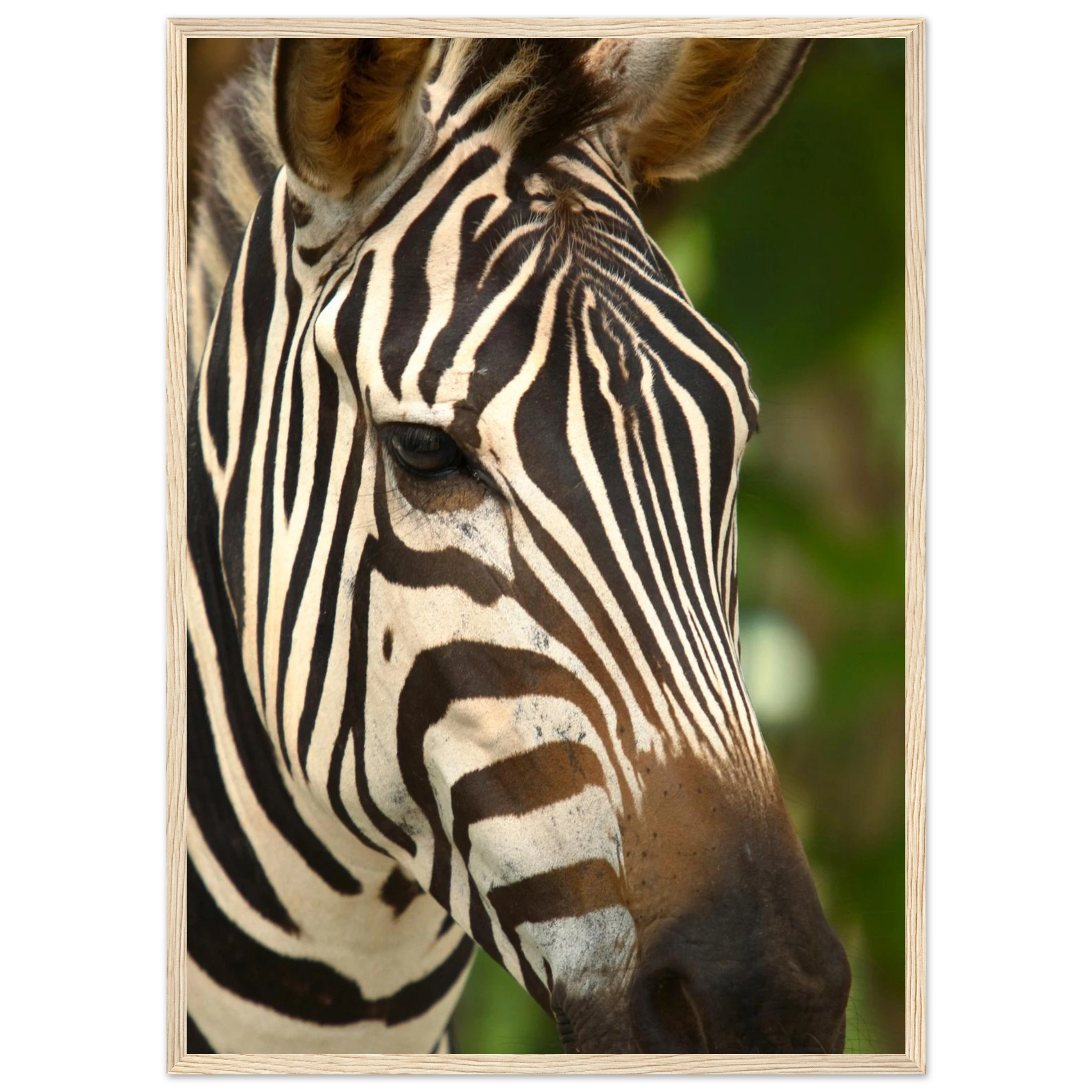 0c25ec04-fa14-4cad-9d26-f415317d2b75