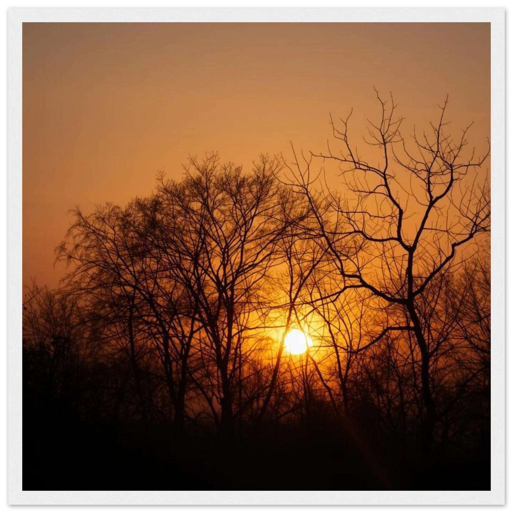 0c380e2c-2bc4-4afe-8091-9aa49465a8ad