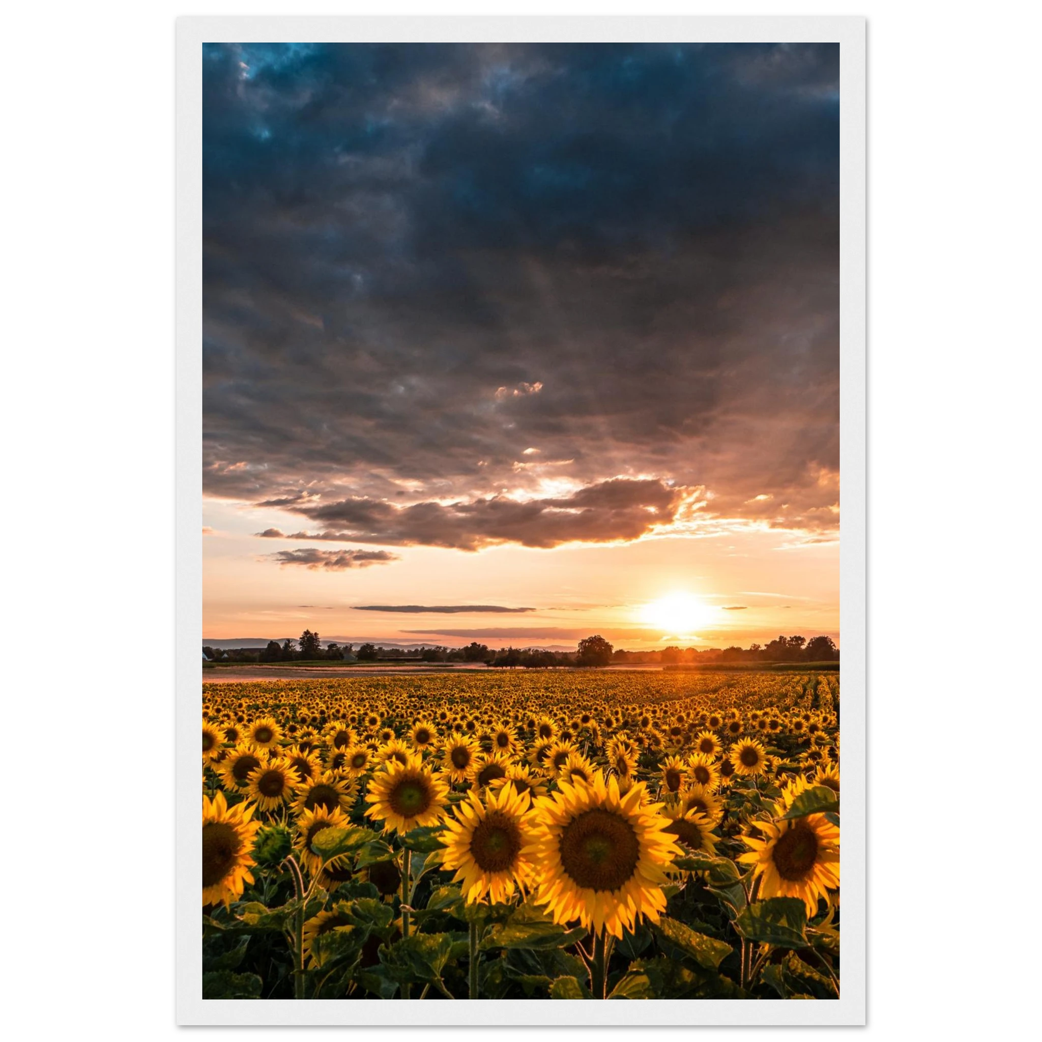 0c6112bf-86f2-4a65-900e-628ffa6eaa7c