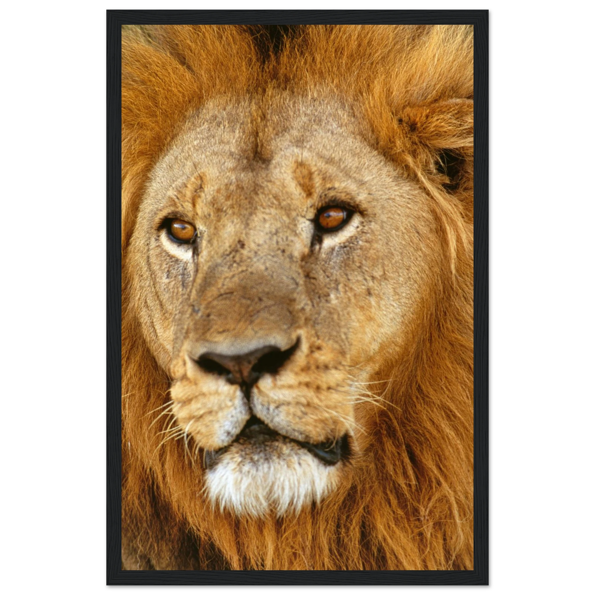 0c8b059f-2130-475f-8d15-6722610d1672