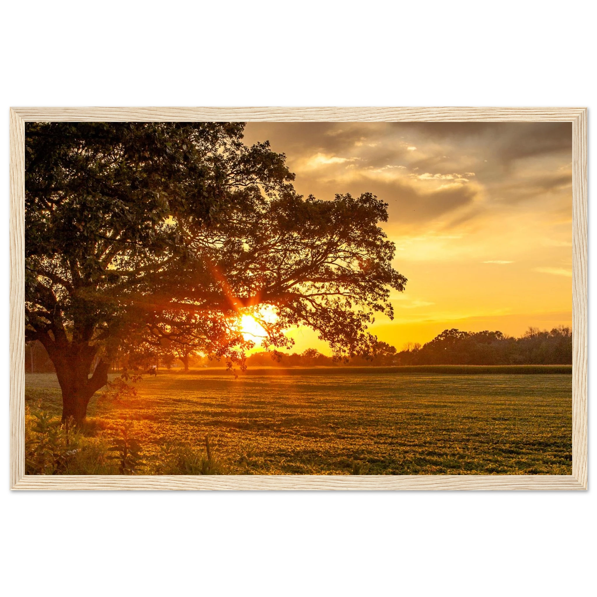 0c9bb868-400f-4d54-b892-f5b46081c082