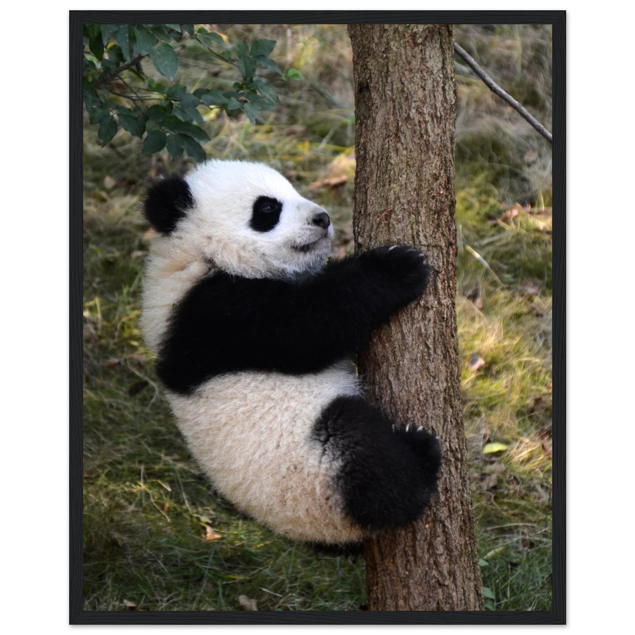 0c9cd086-259c-4ca0-8be7-1b6630cdb6a6