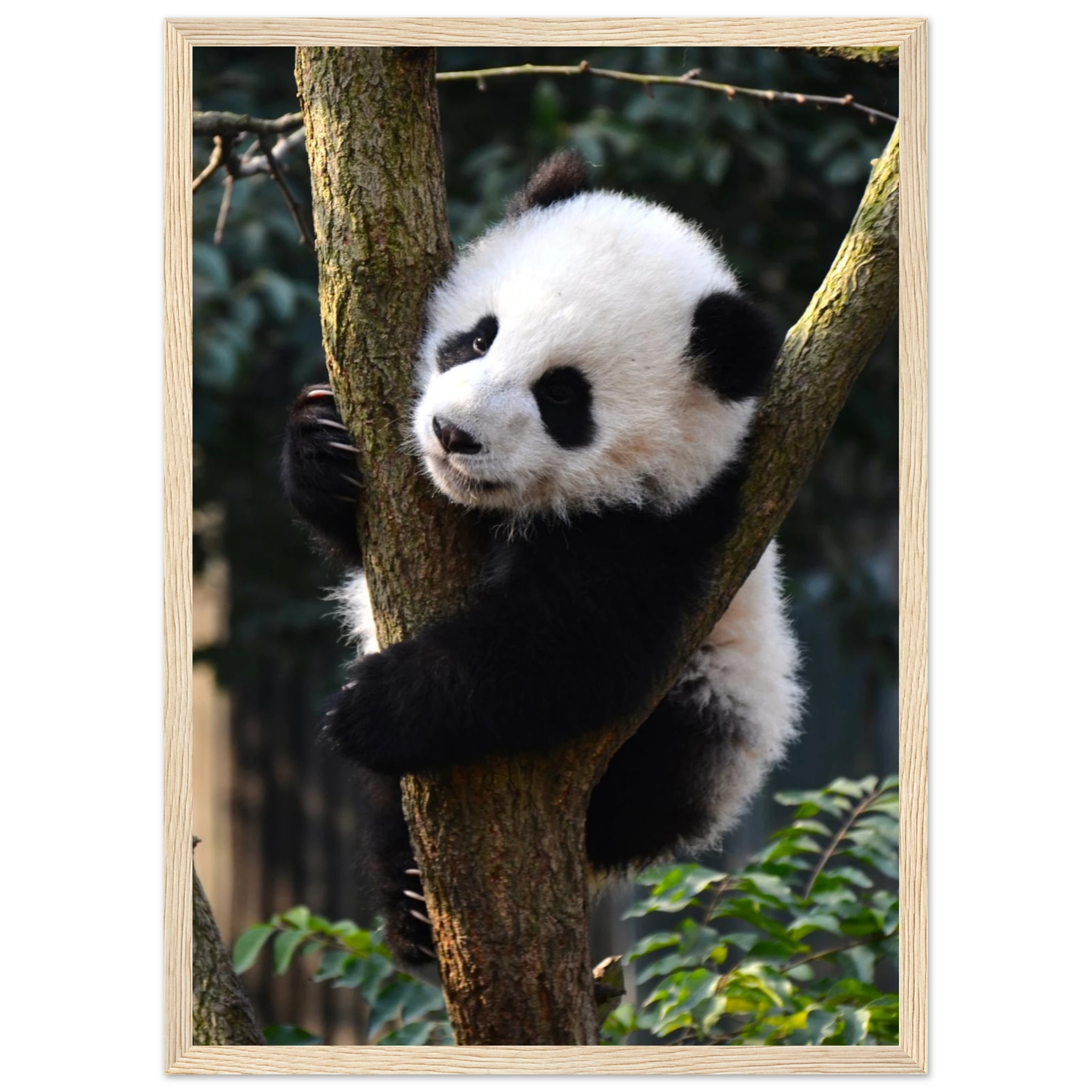 0ca58eb2-c1f8-4707-8917-00aa3d54efa0