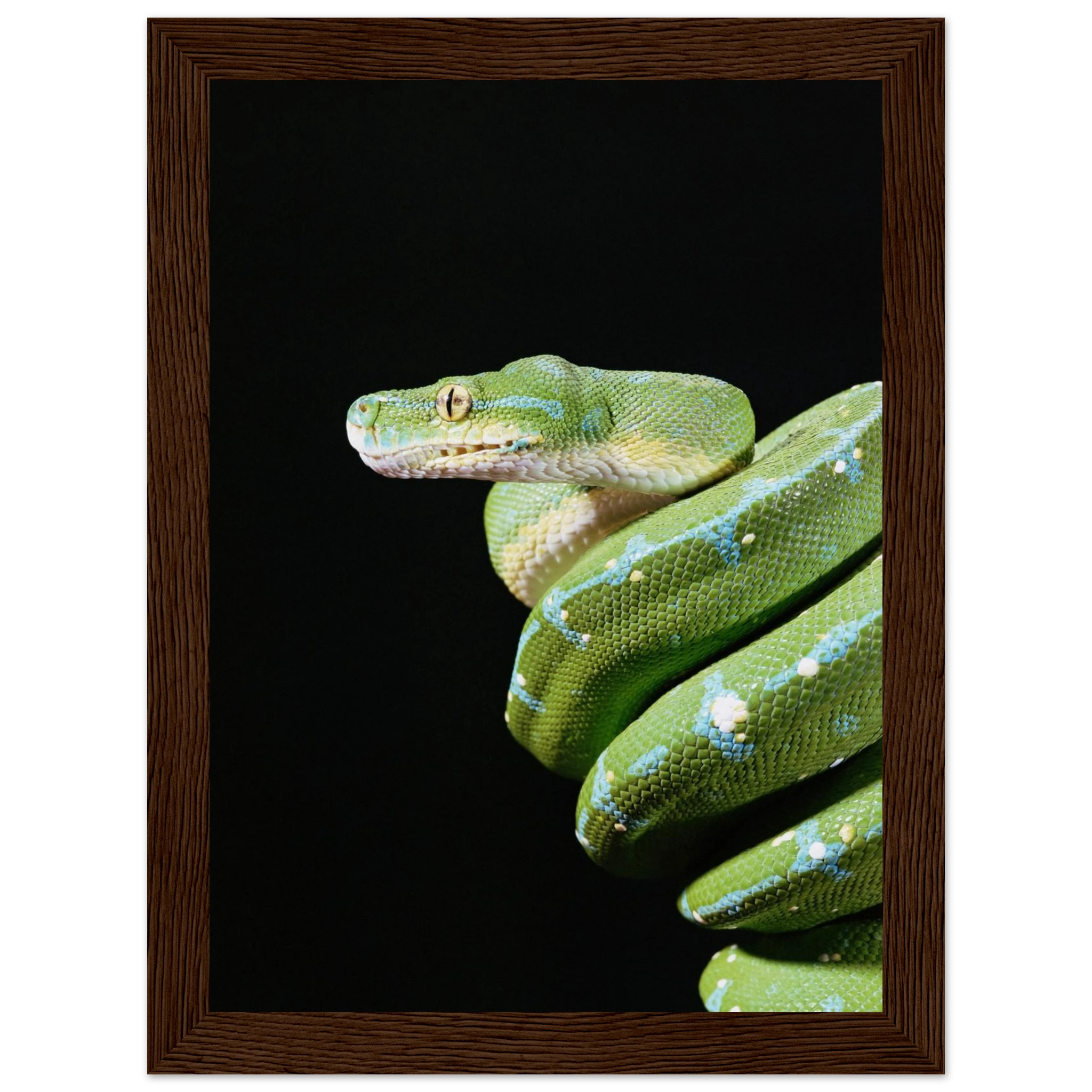 0ca7165f-0e7b-4c33-a6c7-a6e97197f4ee