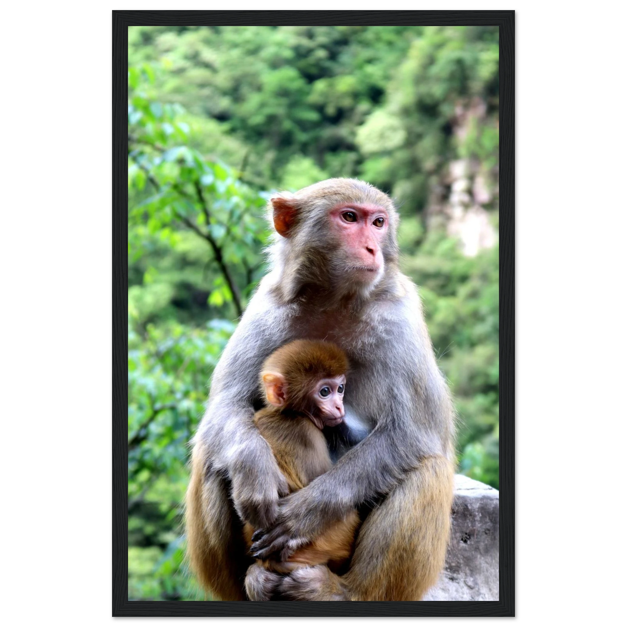 0cc25927-ec06-4612-bfc0-80acf89b7bf7