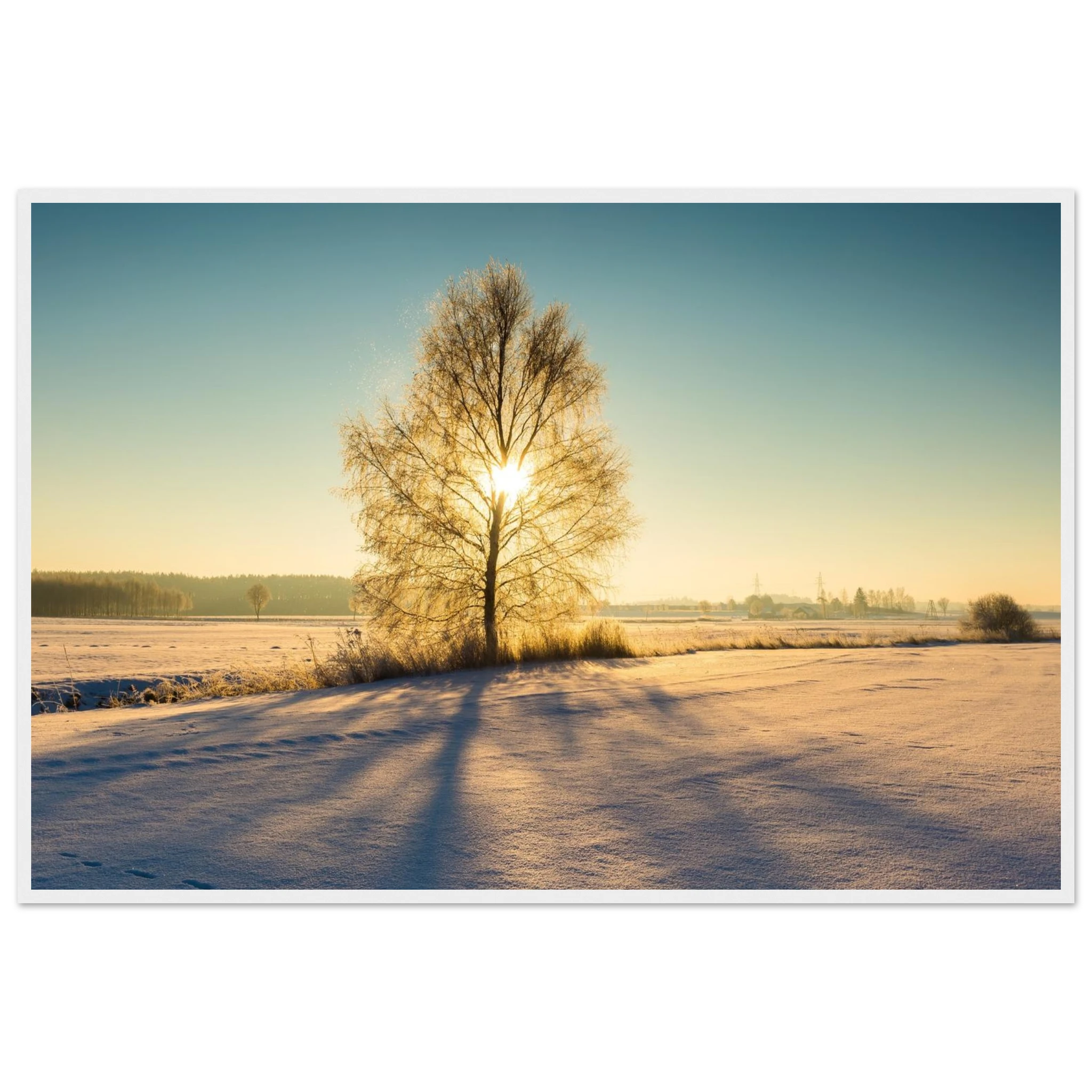 0cc7fb1b-8835-433e-bcc5-9a5da9699cb2