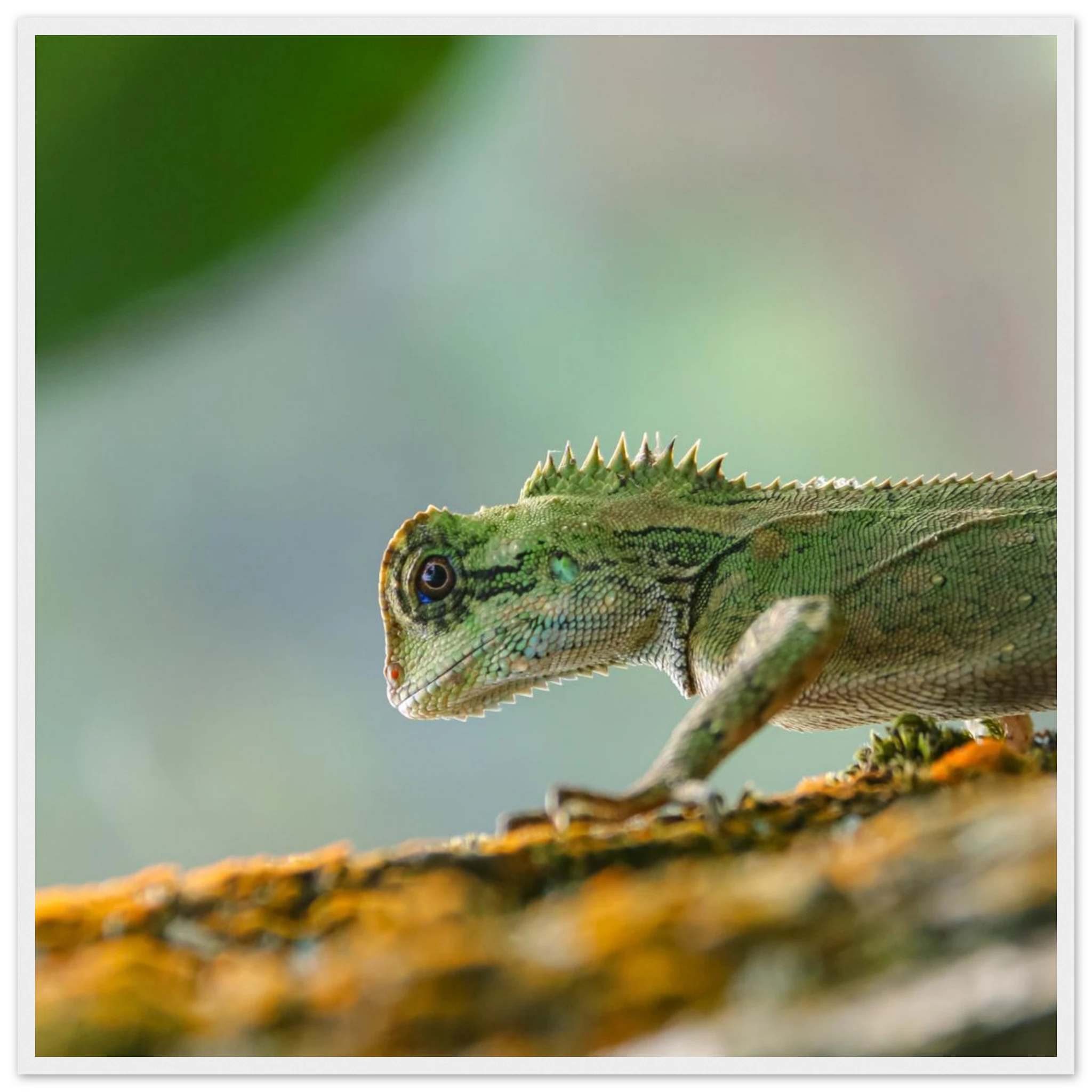 0ccecbee-92b7-4156-a827-fbad914a8410