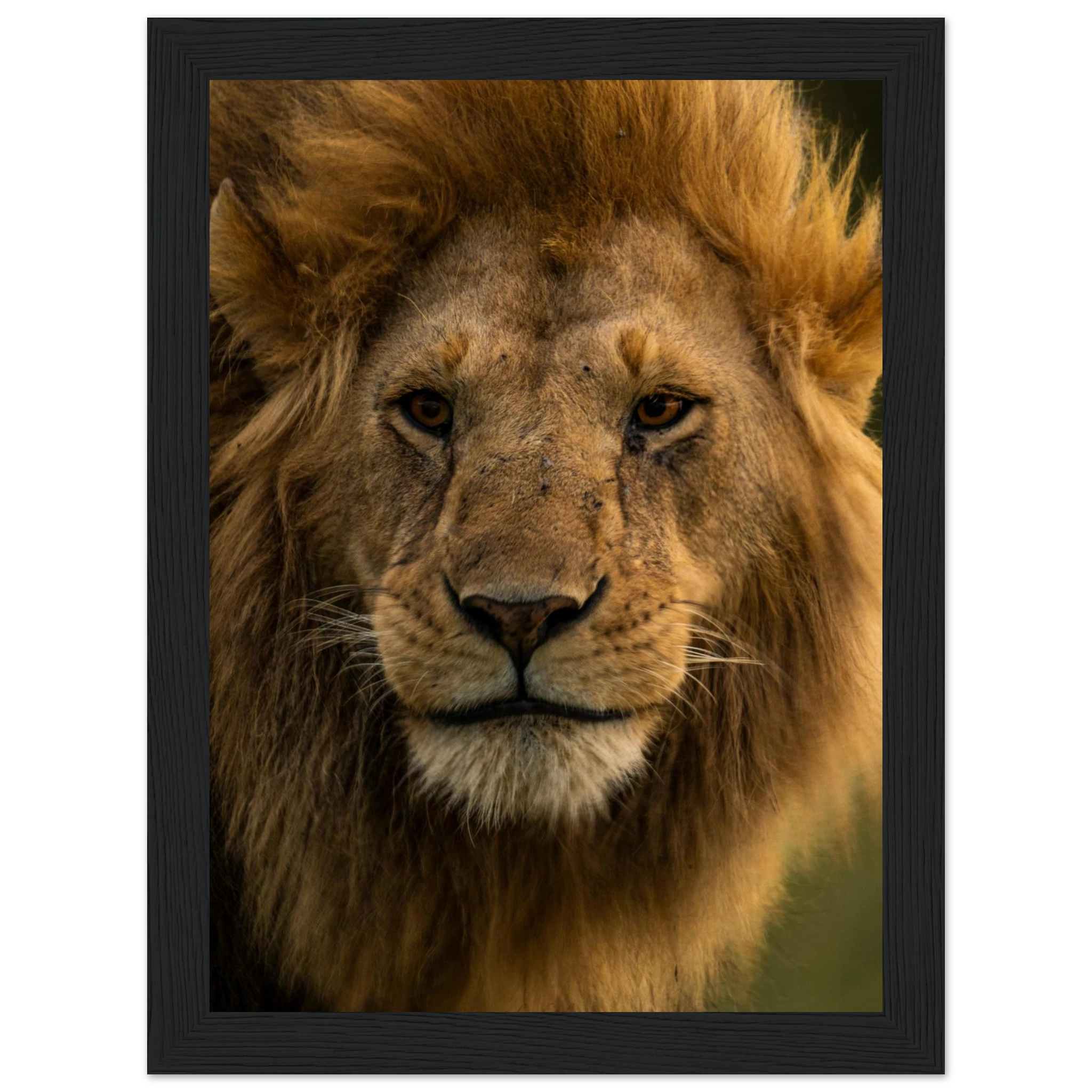 0ce566dc-d4bb-4d60-b2d2-5d046e4d451f