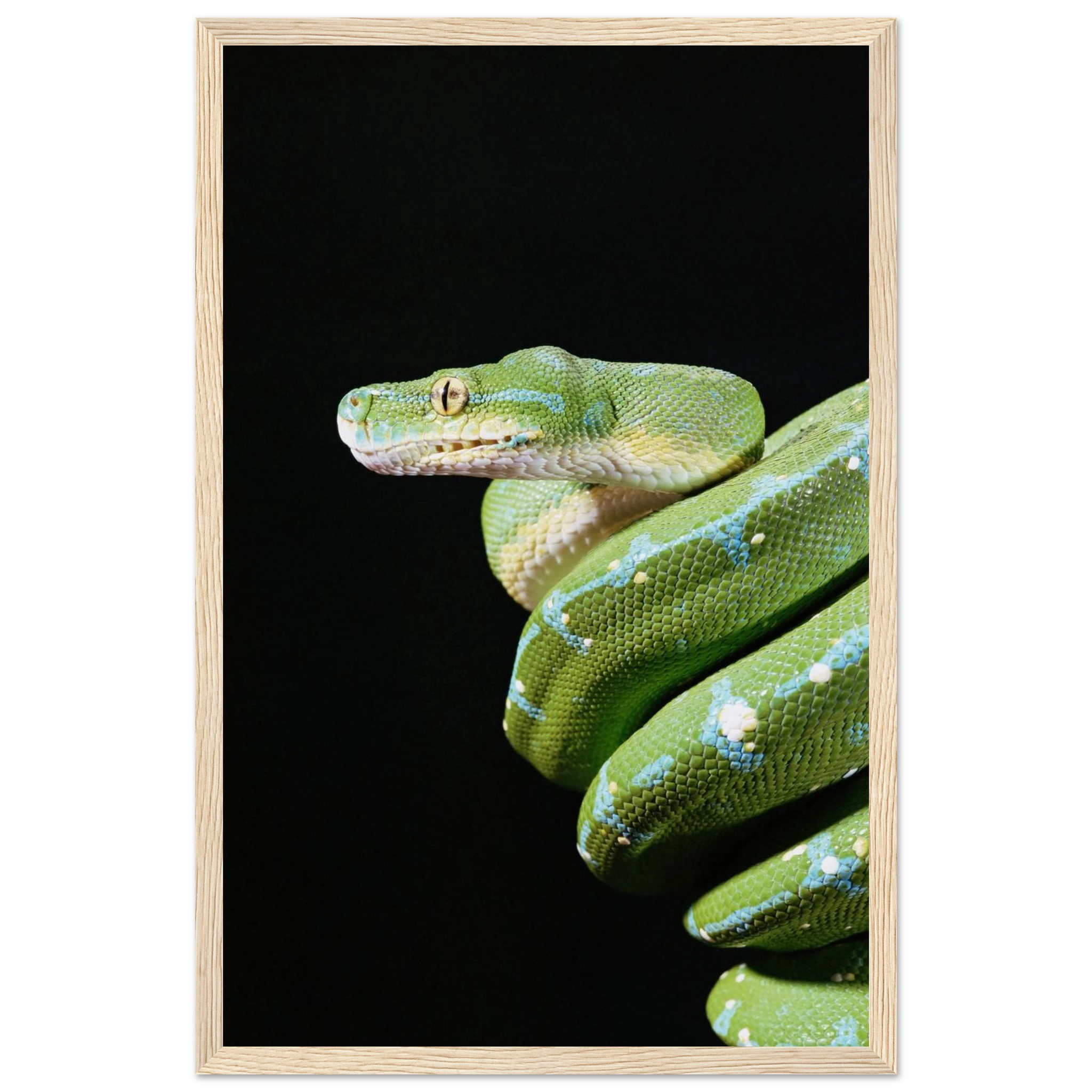 0d0b090a-7025-4aea-a71b-abfc212f1db9