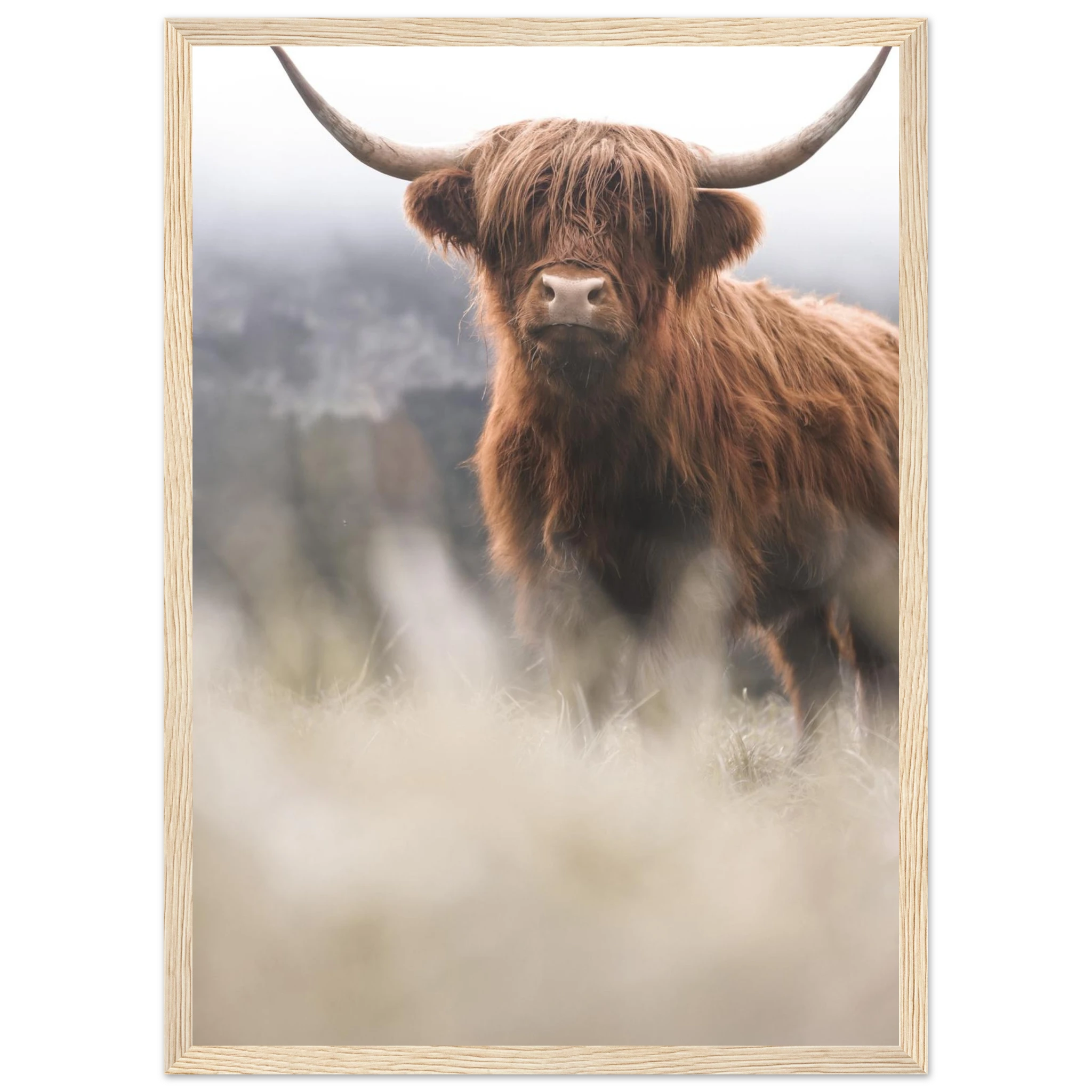 0d0cf793-404d-4384-8872-154fea1cc5ed