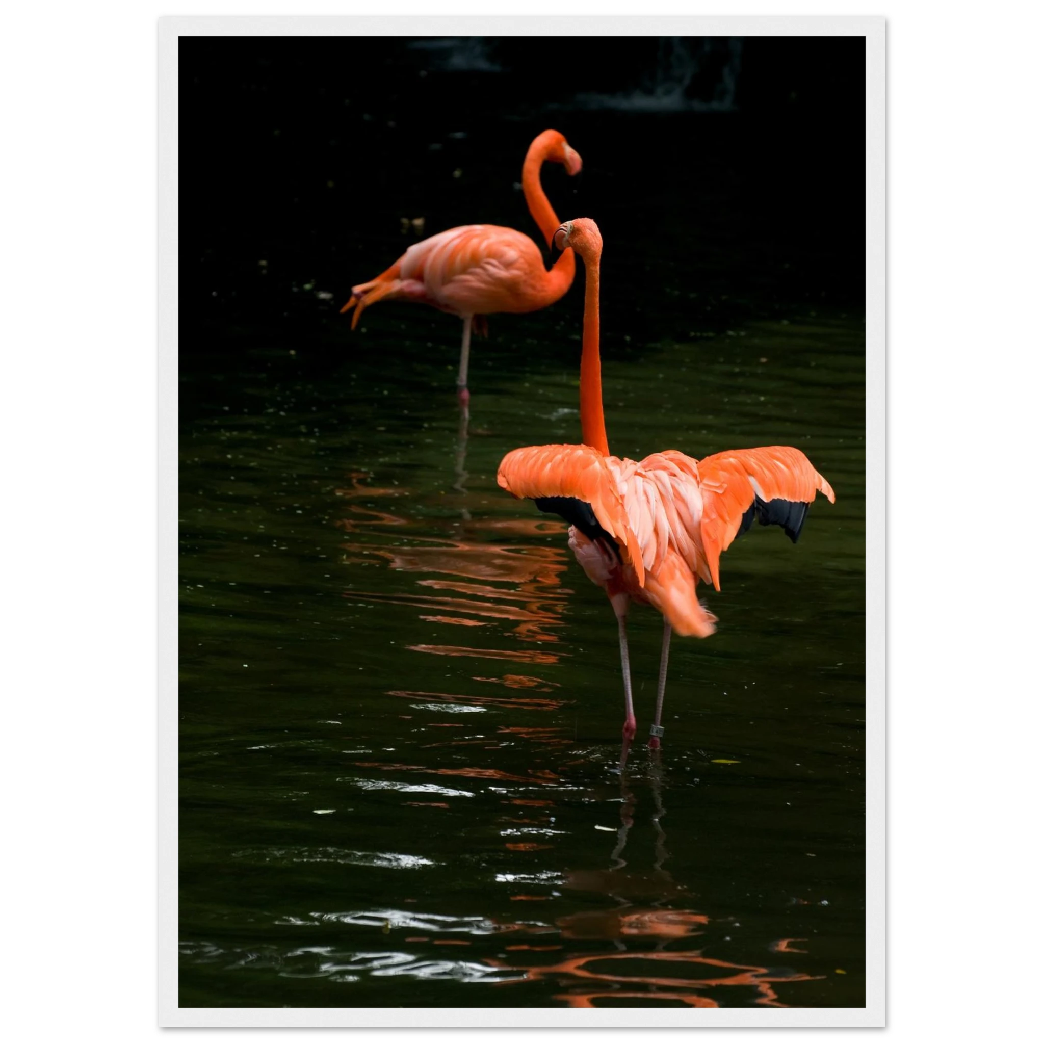 0d0e0257-ba49-4d5b-8a41-42e90f77a0a8