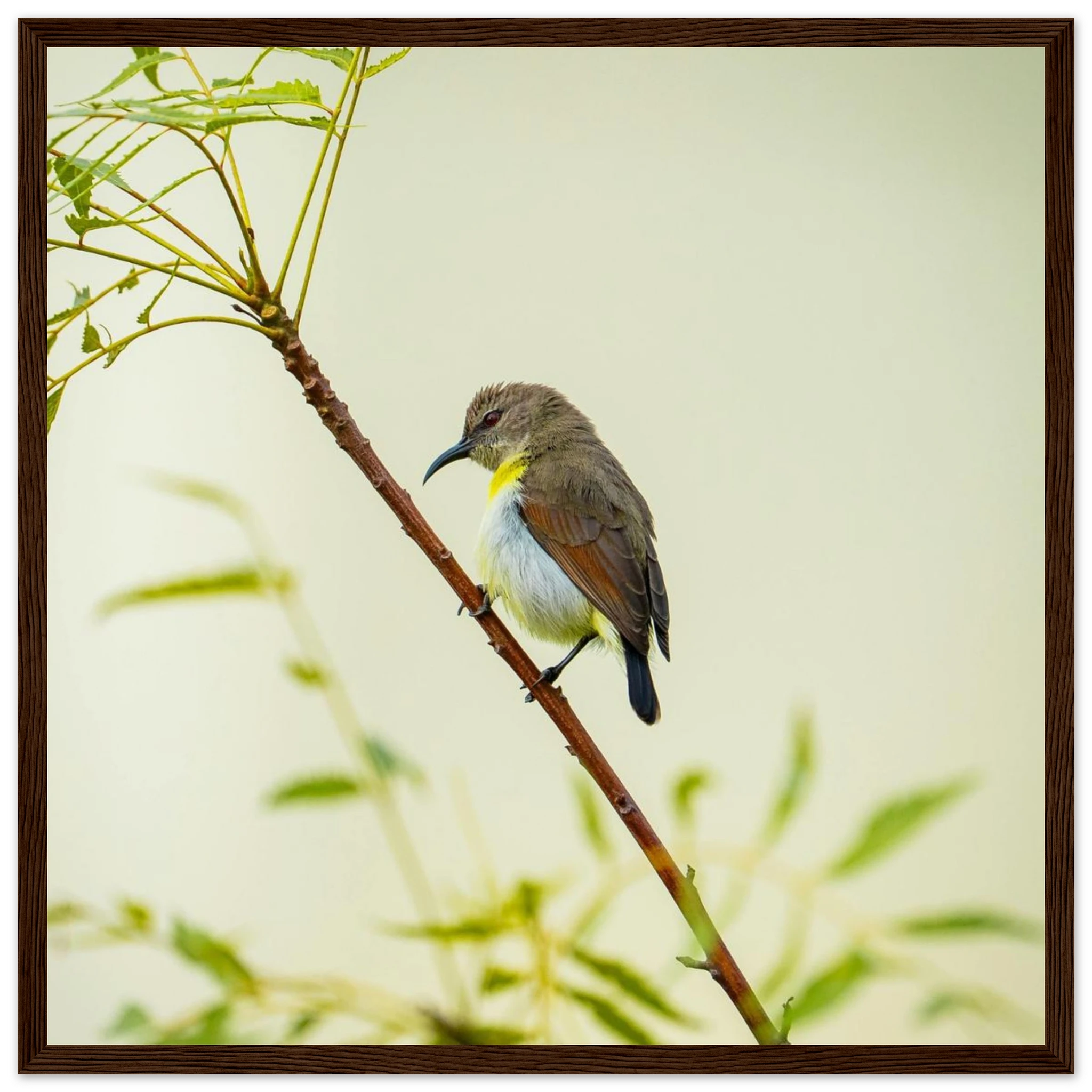 0d230be4-a7df-4ae9-bebc-f2dc2268391a