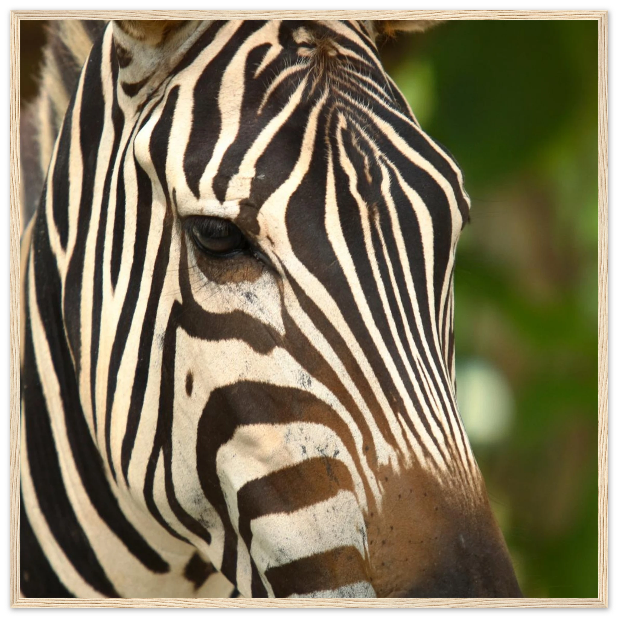 0d2d9efd-11fc-4758-bb58-ddf459af9076