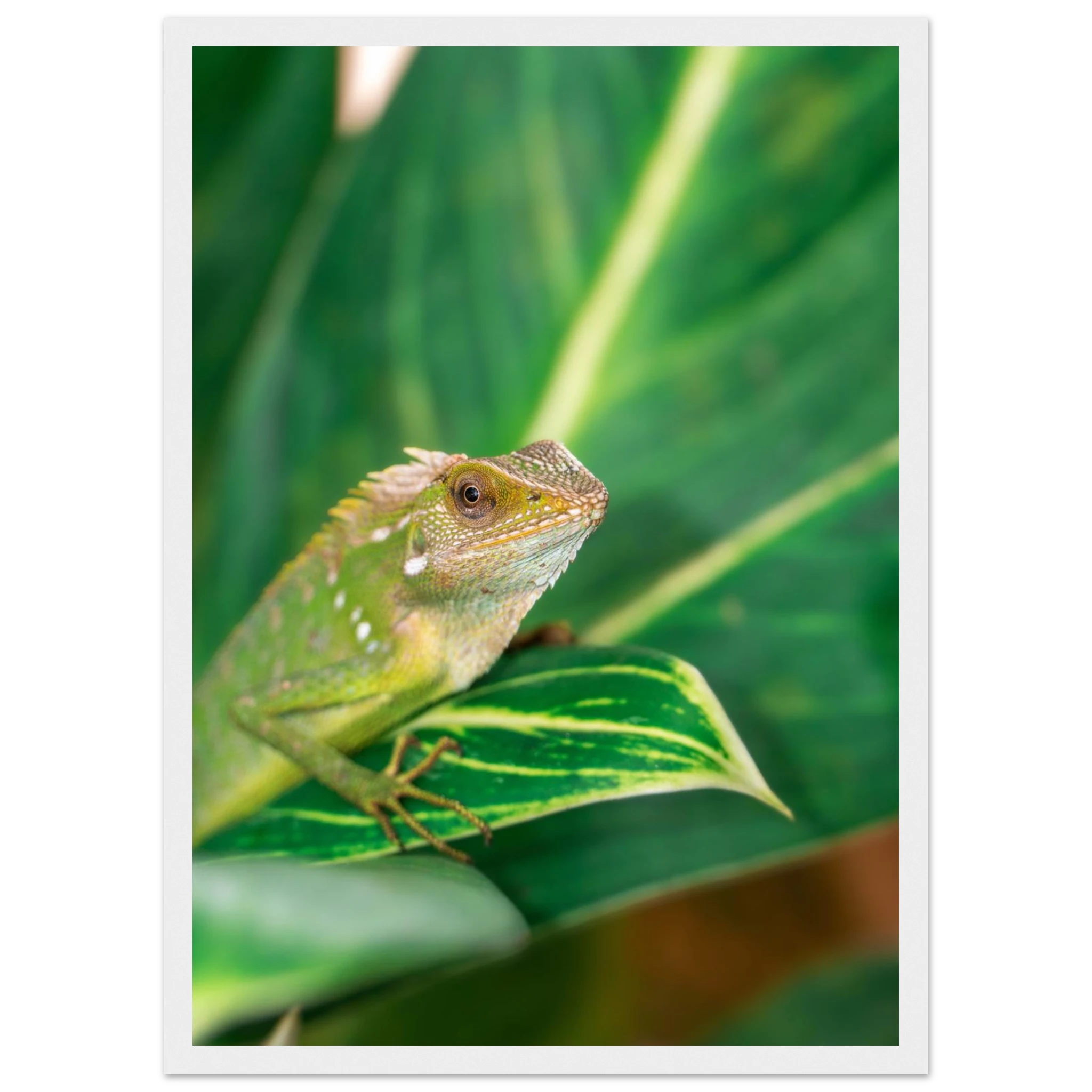 0d3f1c35-8e62-4c20-949a-70e3321a2f55