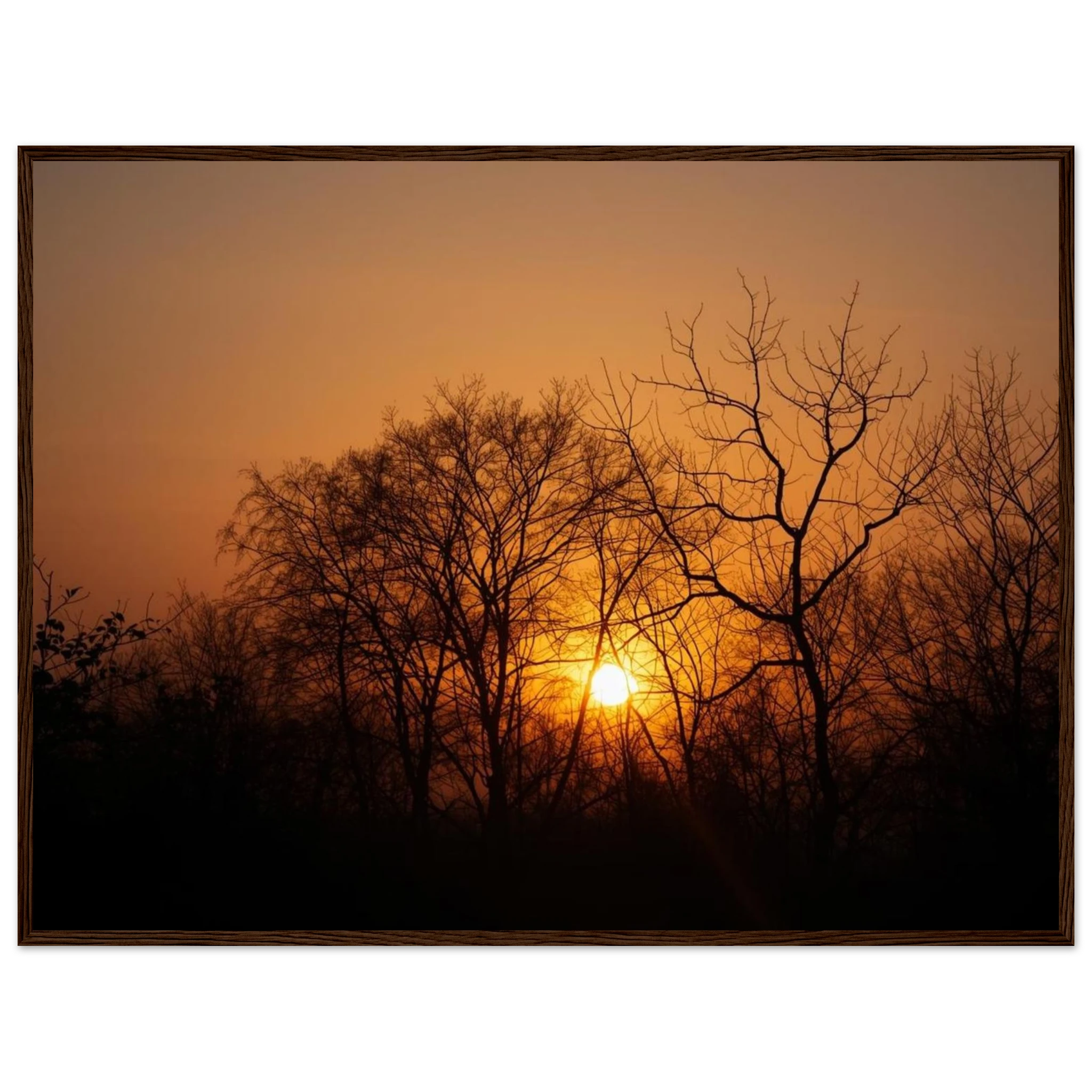 0d401c4a-b8cd-406a-b01a-d364a25adcea