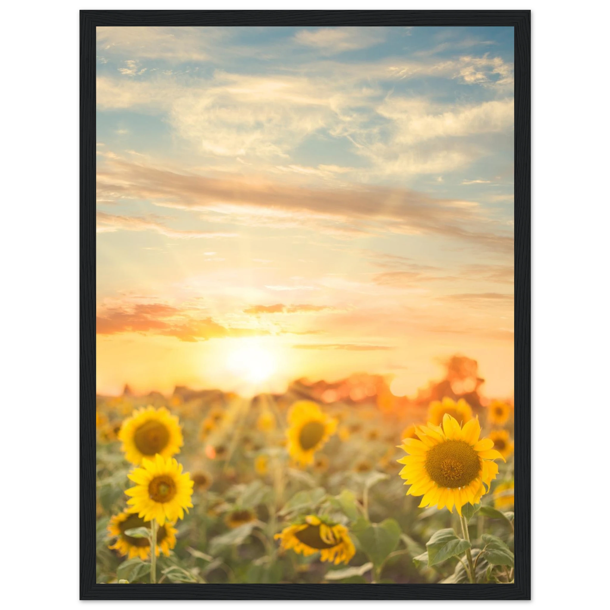 0d5d1f6a-71a4-4433-95fa-c2175fce892e