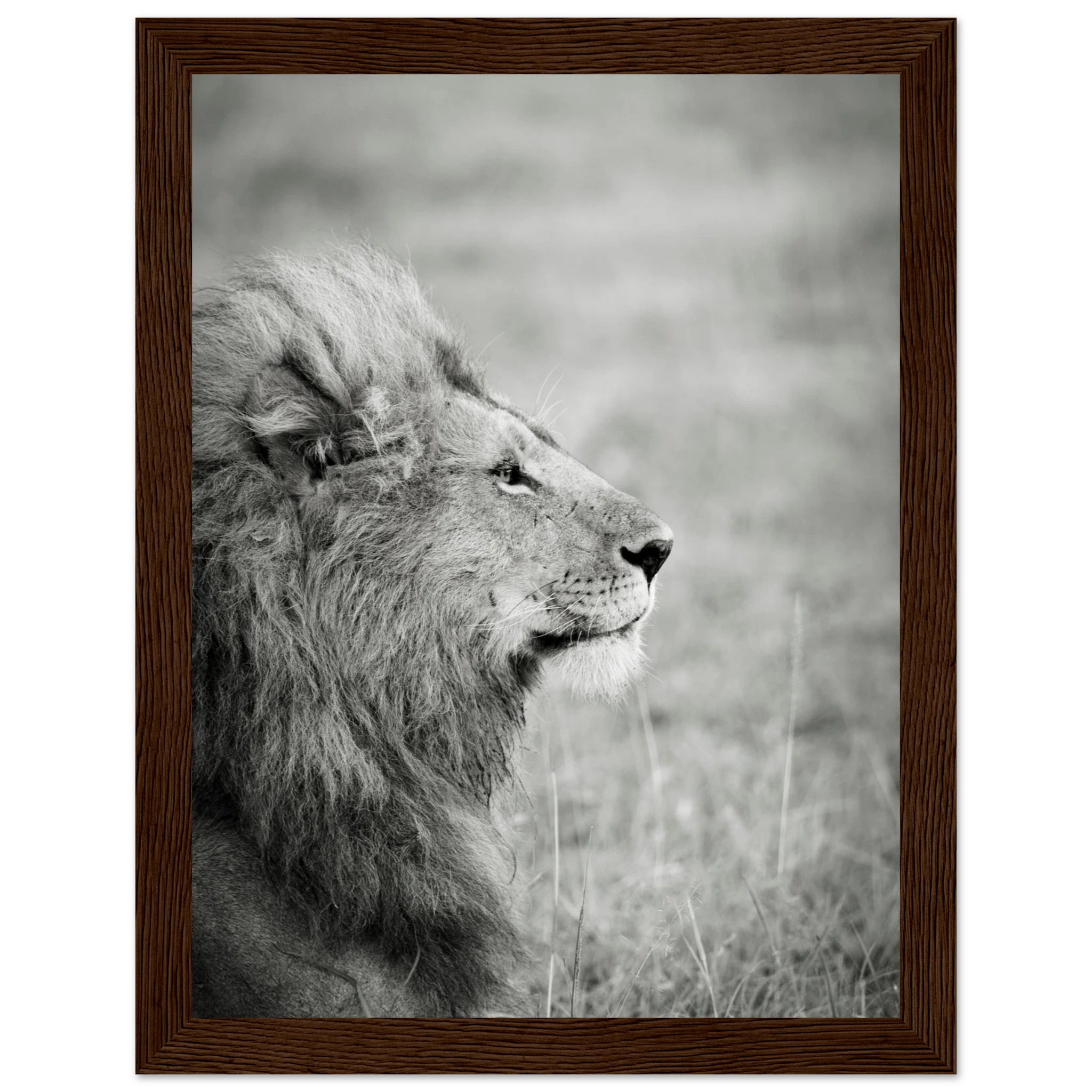 0d650101-5dd1-46ef-8f61-419ead4065b2