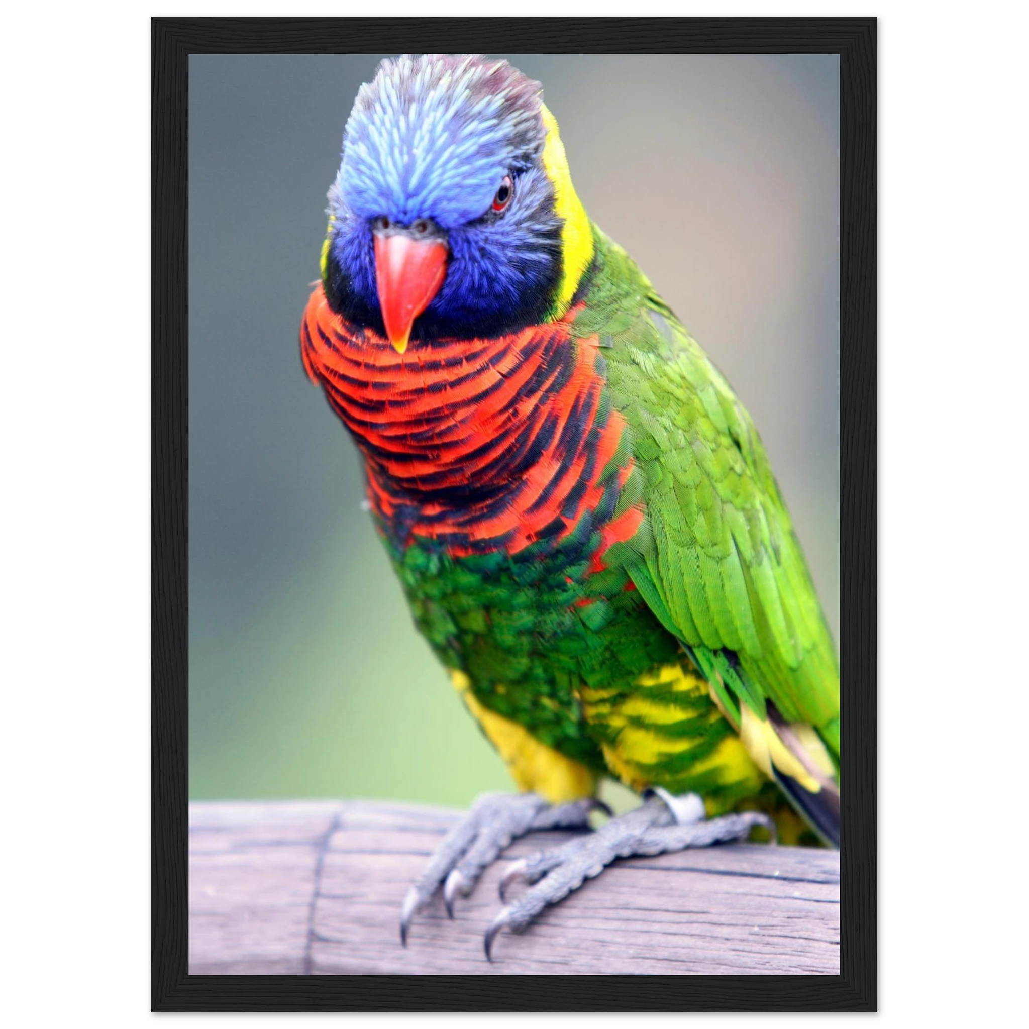 0d974e6a-51bd-4261-9f01-e49a71e972fd