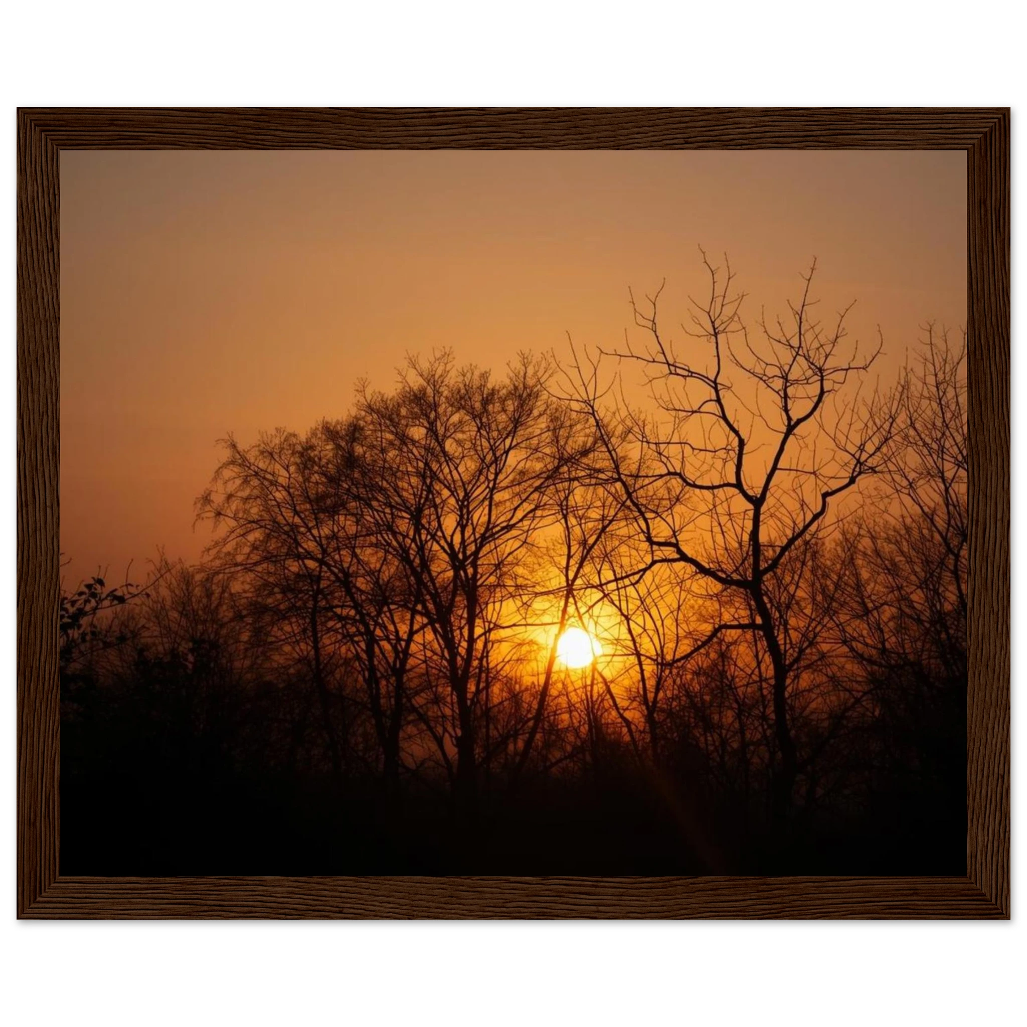 0db63a59-c92b-4029-add1-27ddec2fe645