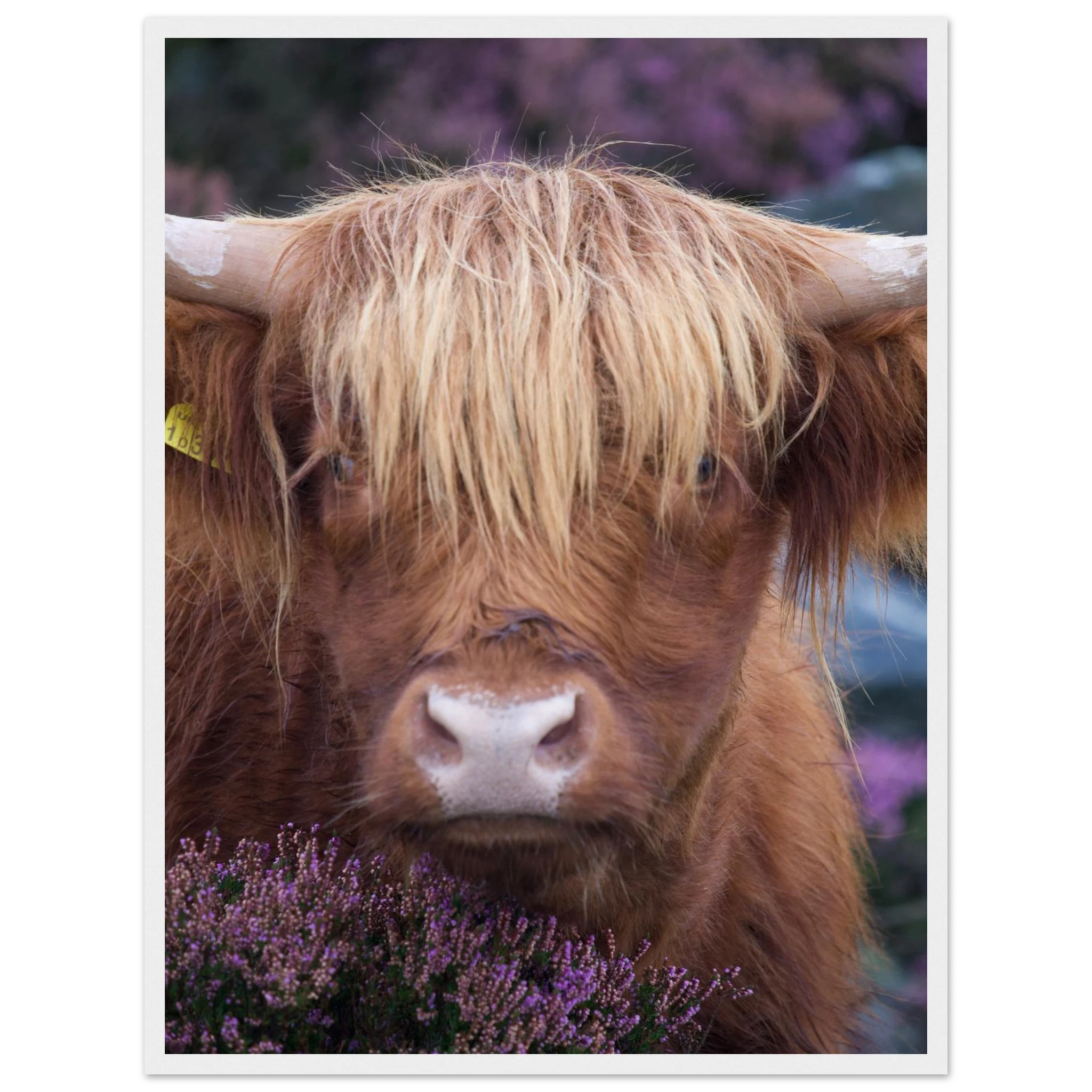 0dbb0fe3-a738-47d9-b8b7-95a9038719b9