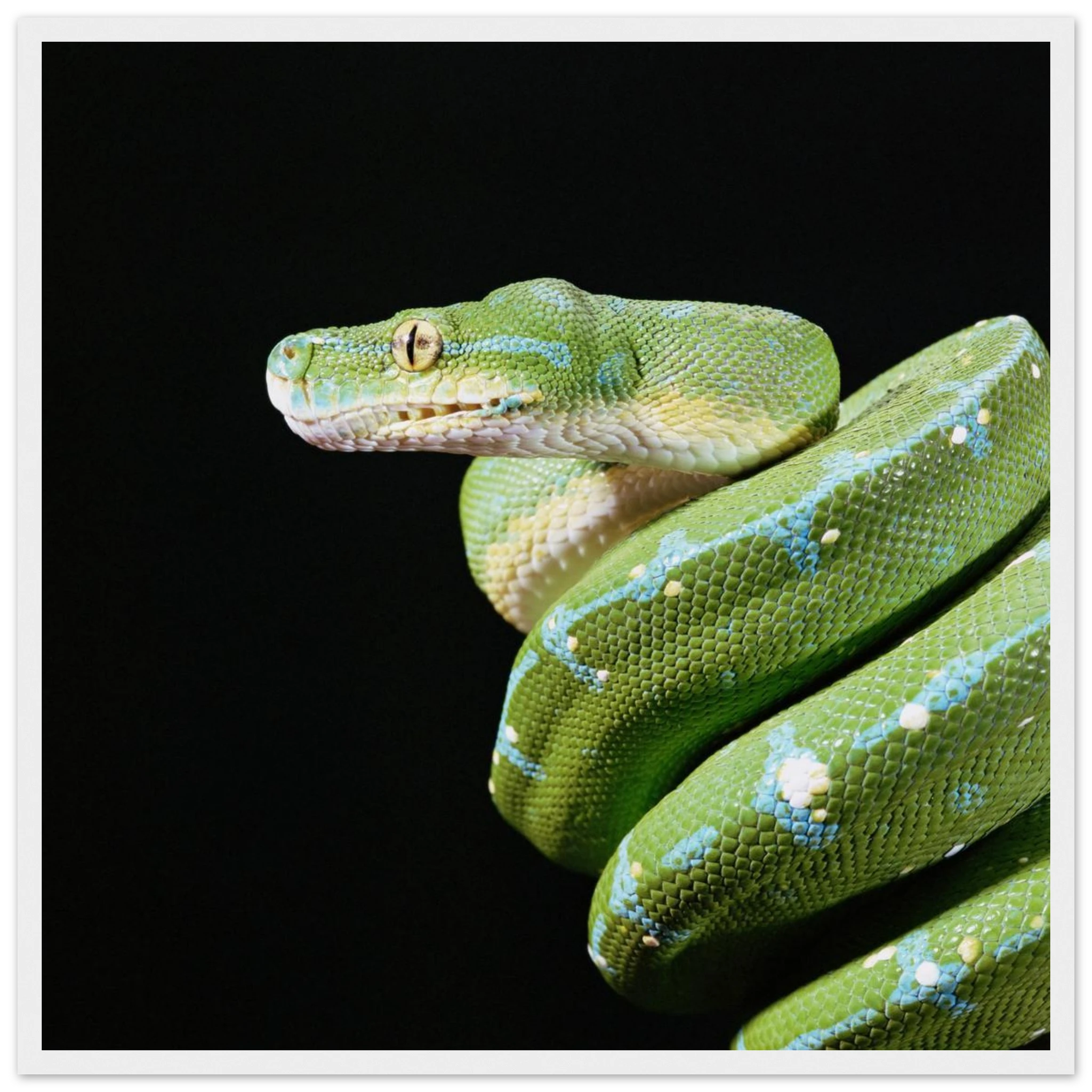 0dbc9274-48e8-425f-b4a2-af089414cc5b