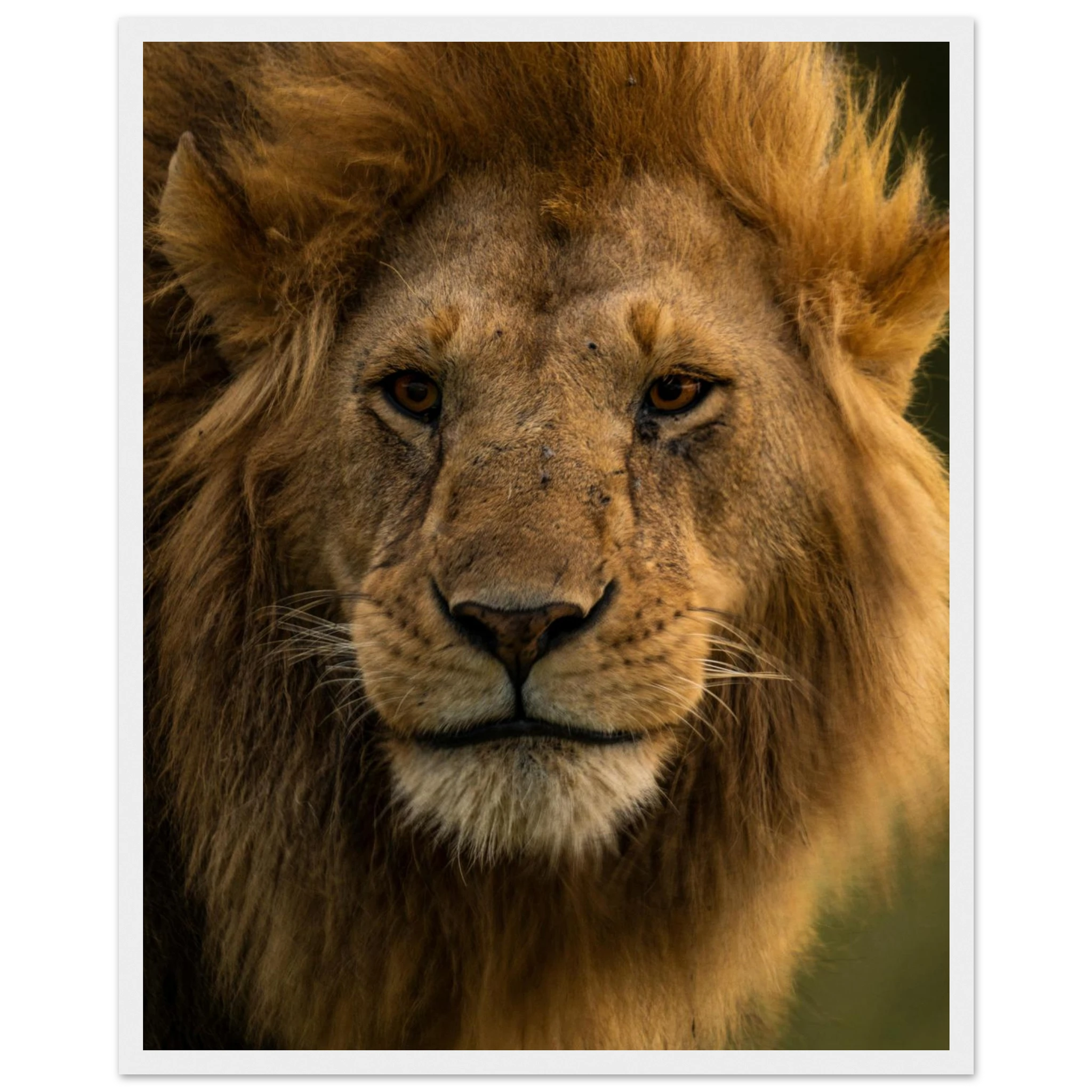 0dcfa1bc-ee4a-412f-a173-b73014a742f2