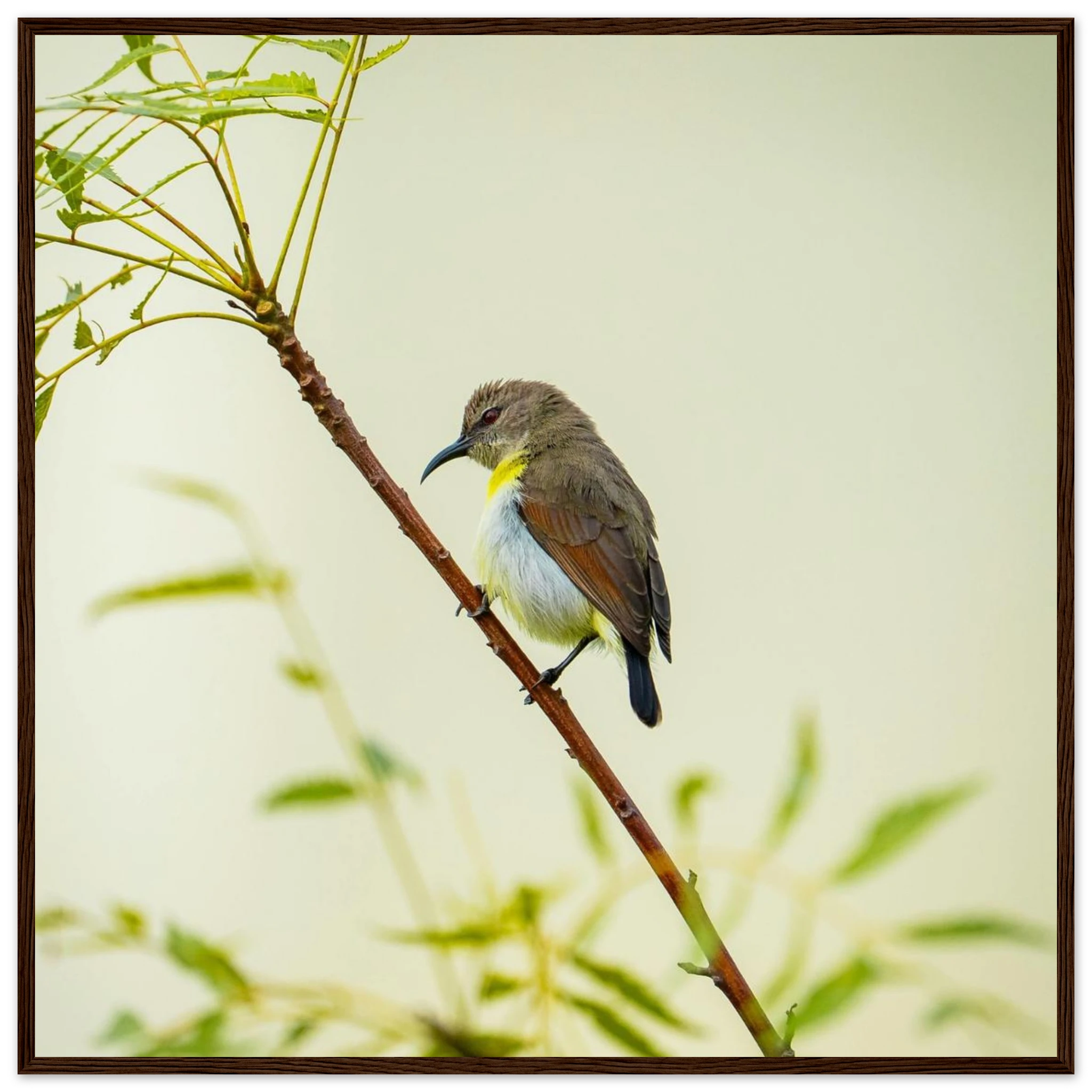 0dda4702-5dc0-4580-9a6a-2f8cadc4c04f