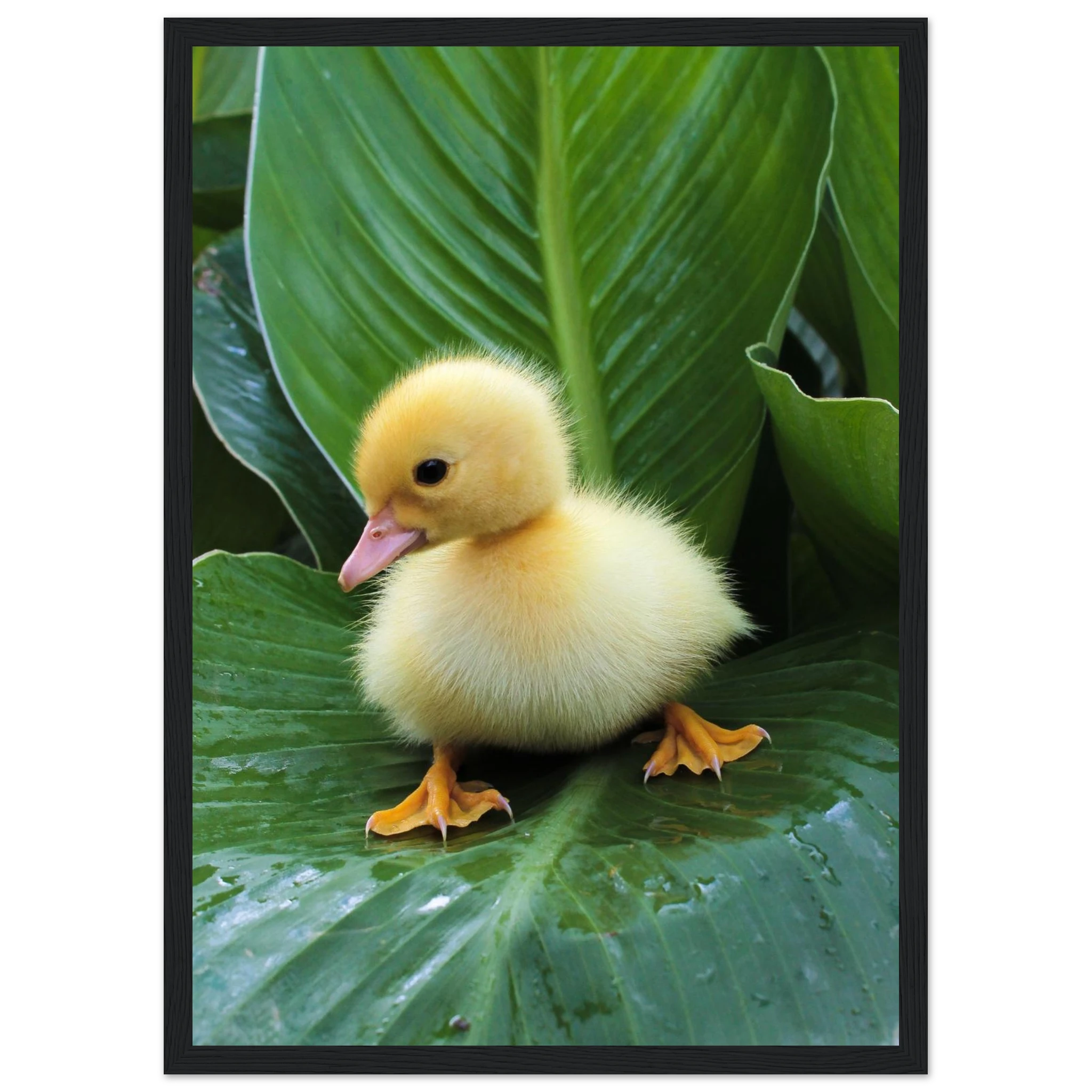 0de42163-0846-496b-a809-f2896848b00d