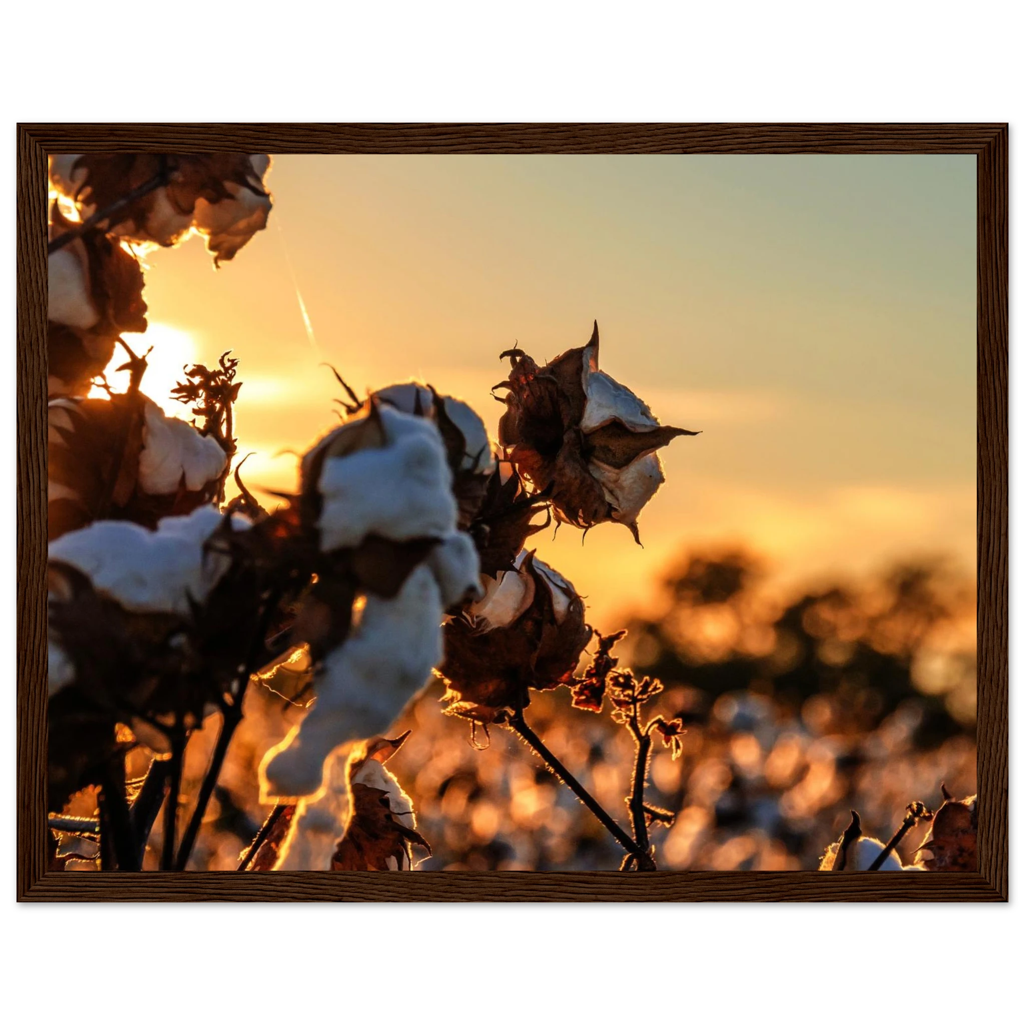 0e033e27-e9d8-4722-80df-8758a03282cd