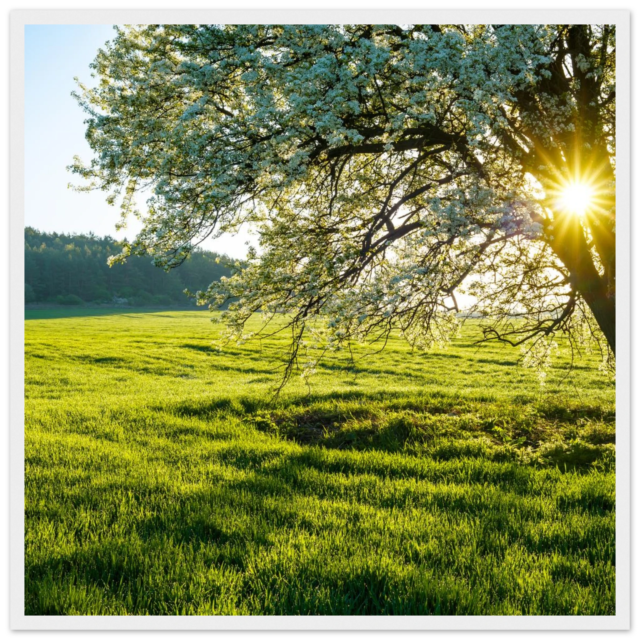 0e06f568-c268-412f-8610-075f15b28c7b