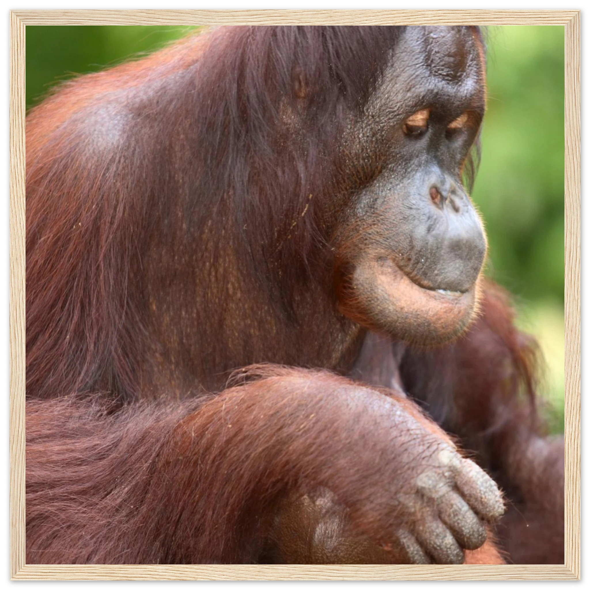 0e154883-b864-4209-9ea5-d424251a1e42