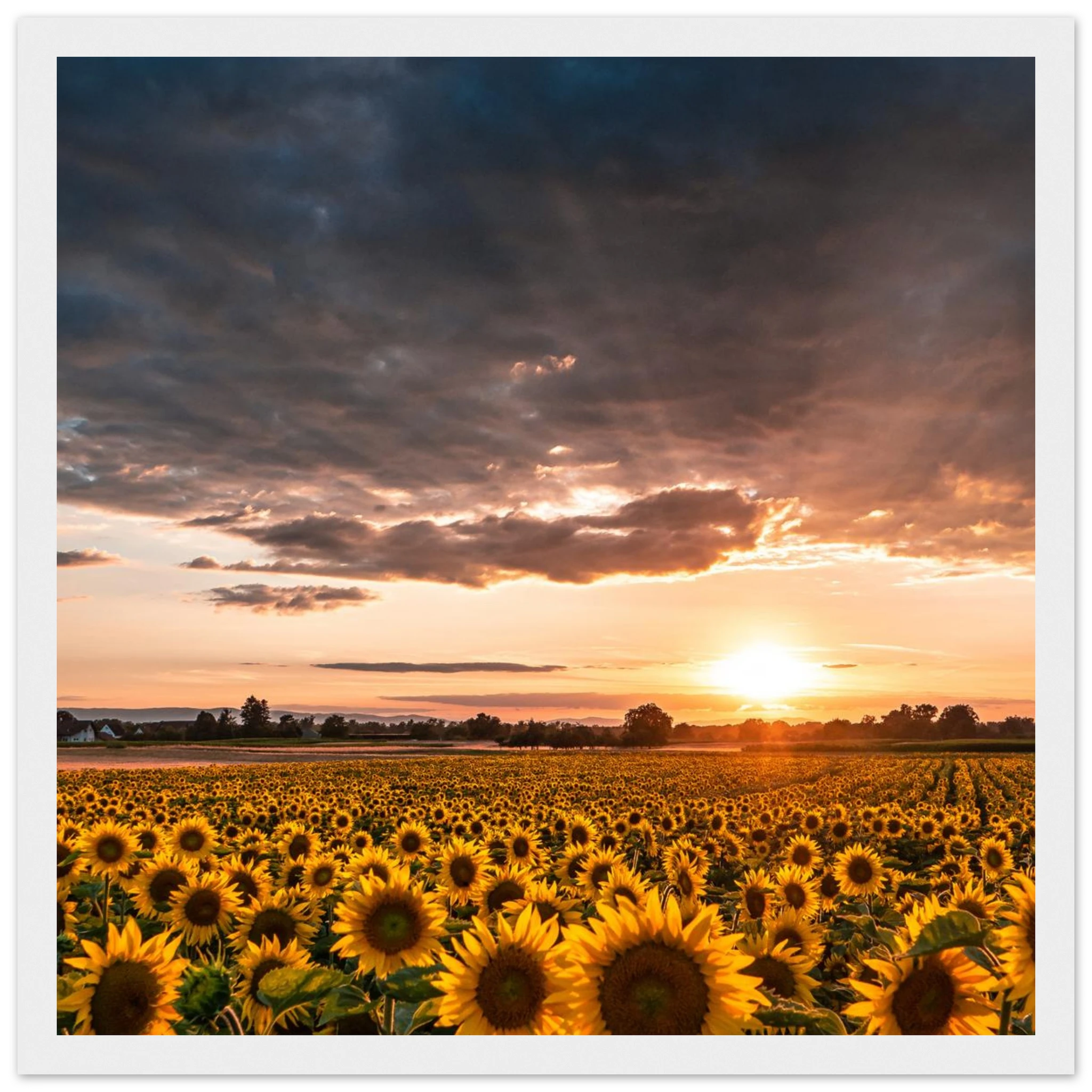 0e28c433-8bf0-4a8c-b69f-fa2e258c84f9