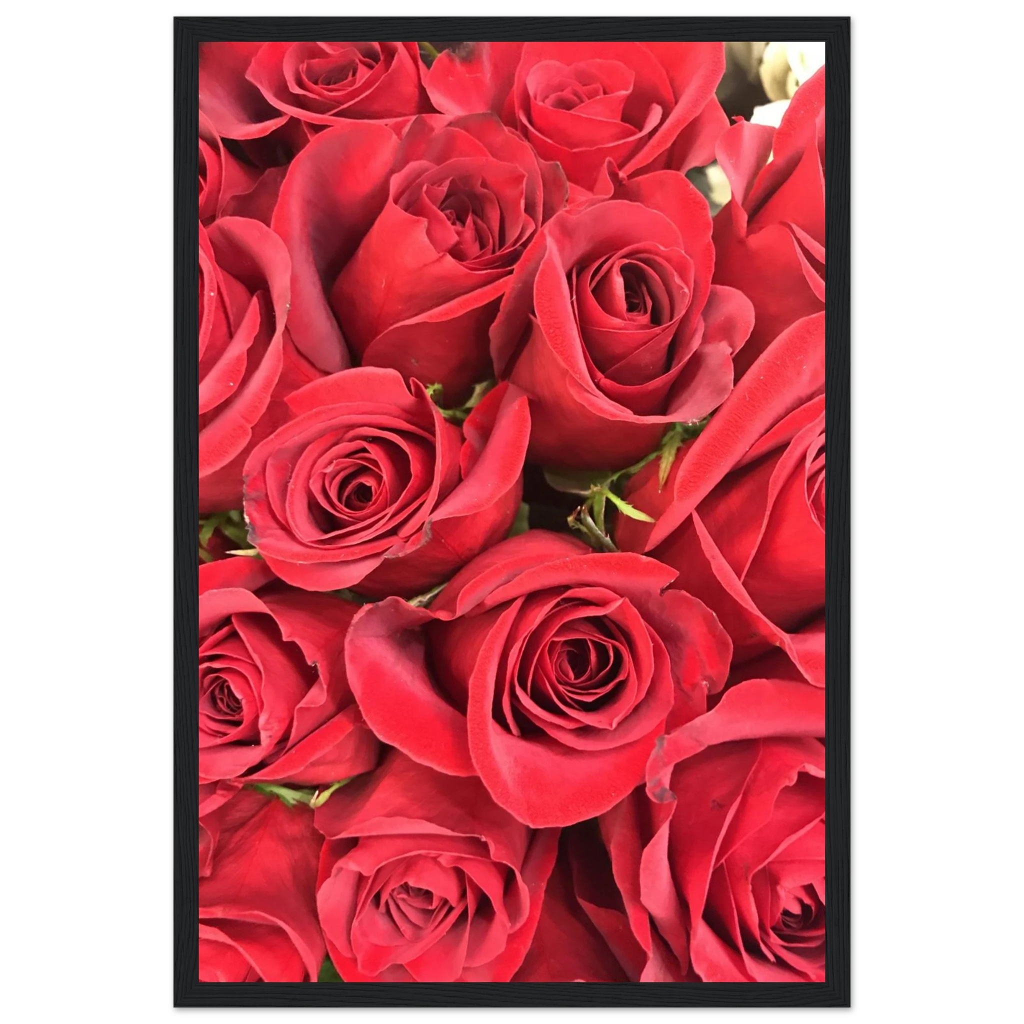 0e3d500c-c20a-410b-a594-684d1d498440