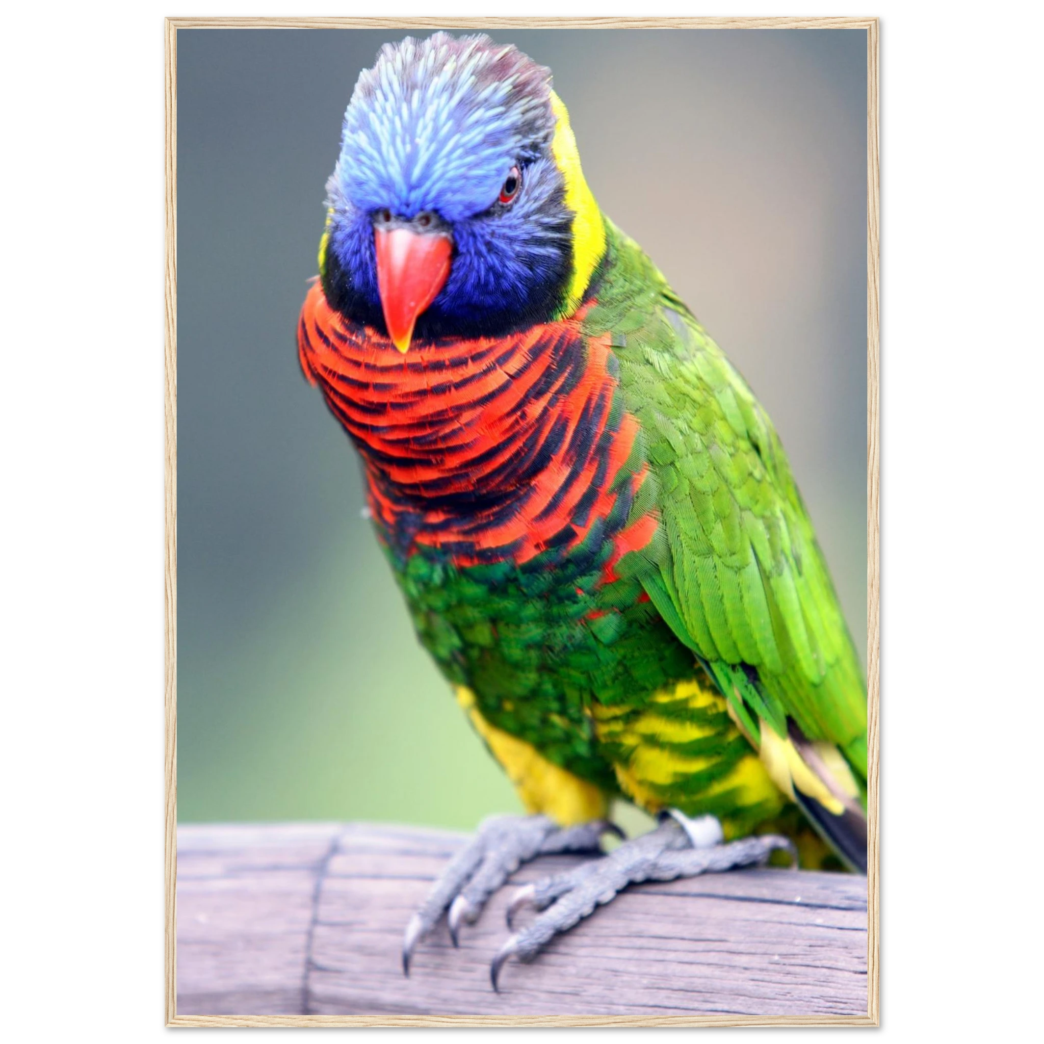 0e6898a0-0e5c-4fac-be9f-e3ea4b2aab8a