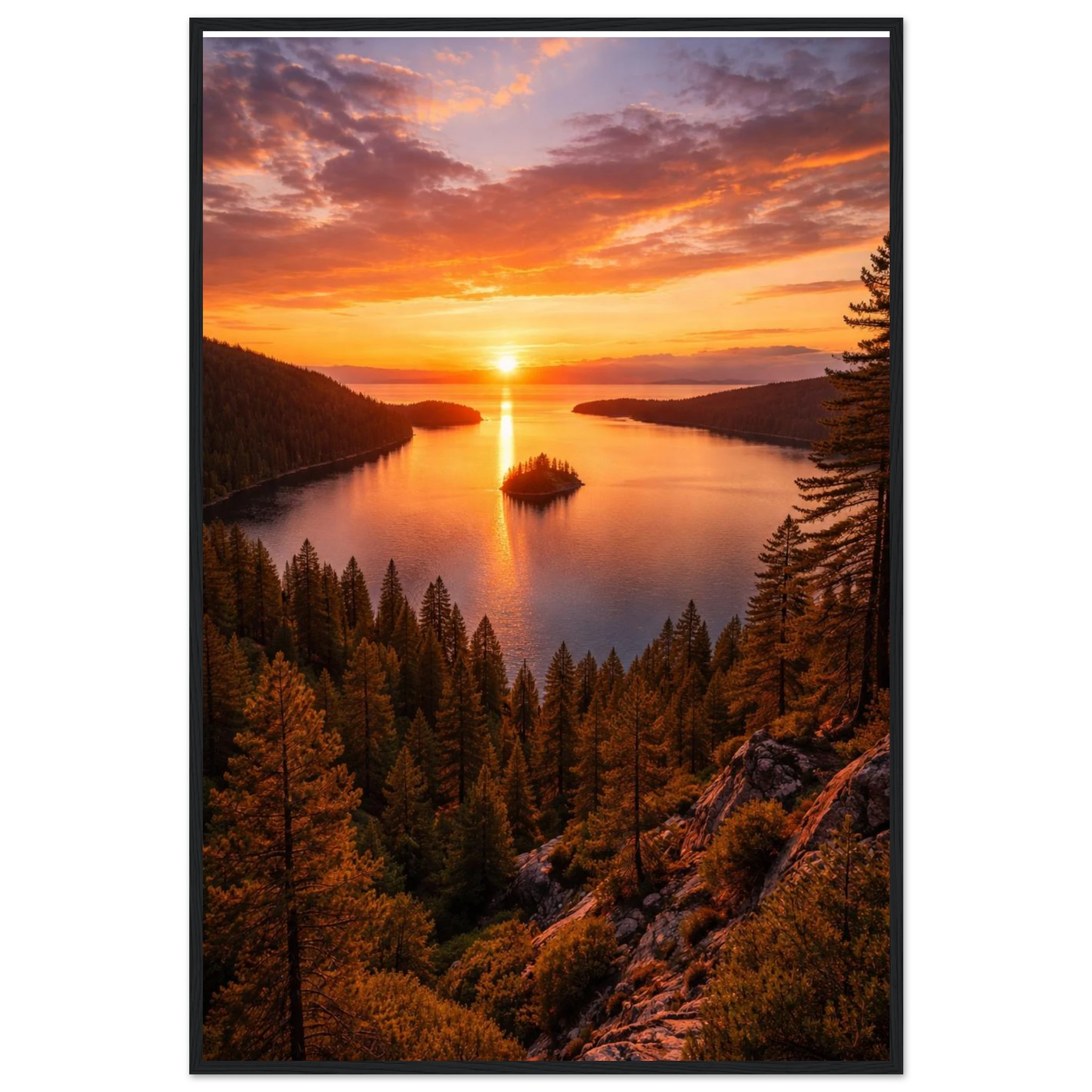 0e797048-2771-43ed-9958-2b526b112bf0