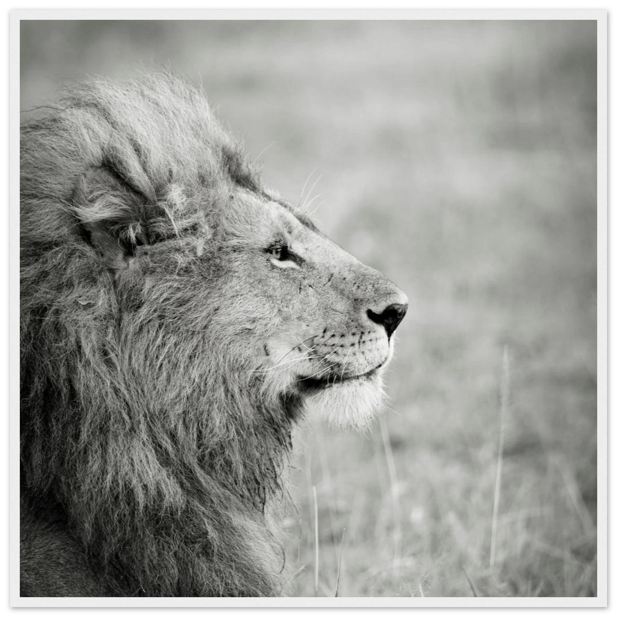 0e97681a-2993-4726-8783-df741bb67a0f