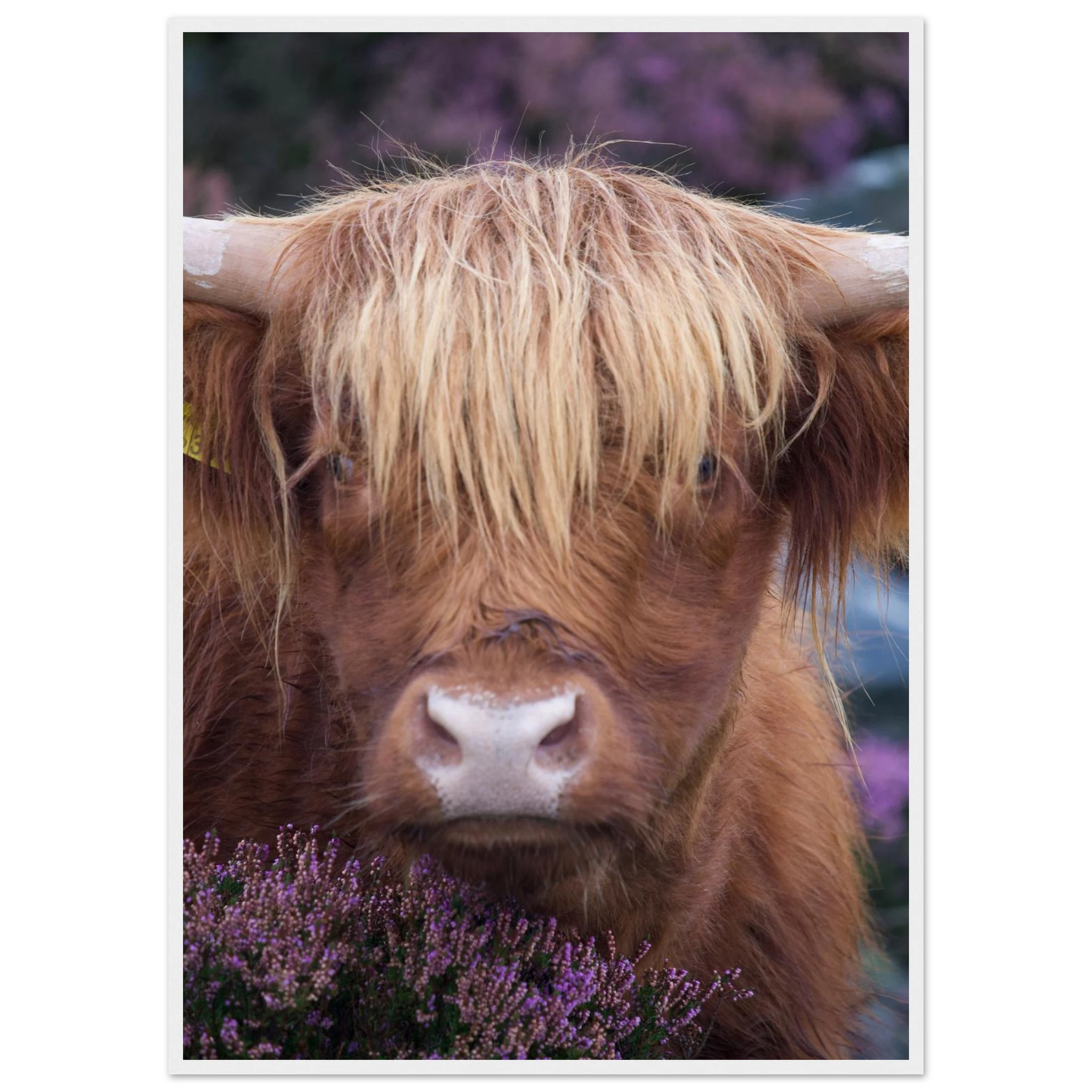 0ea2f2a7-02c7-400e-9be9-0c8af1319415