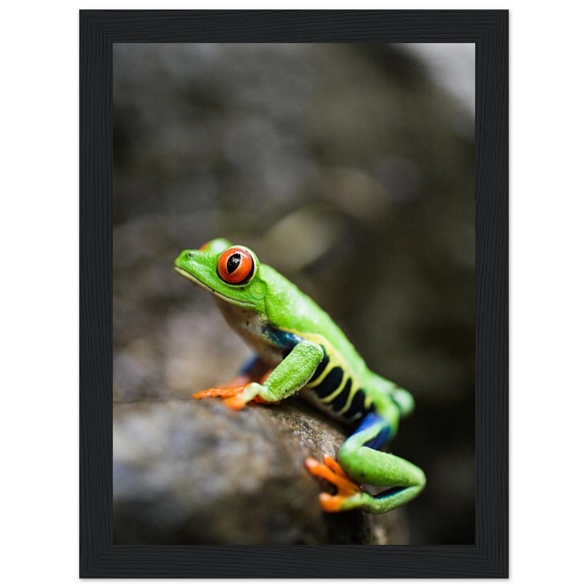 0eb5637b-c03e-4cb2-bdc9-cdbba4c986d9